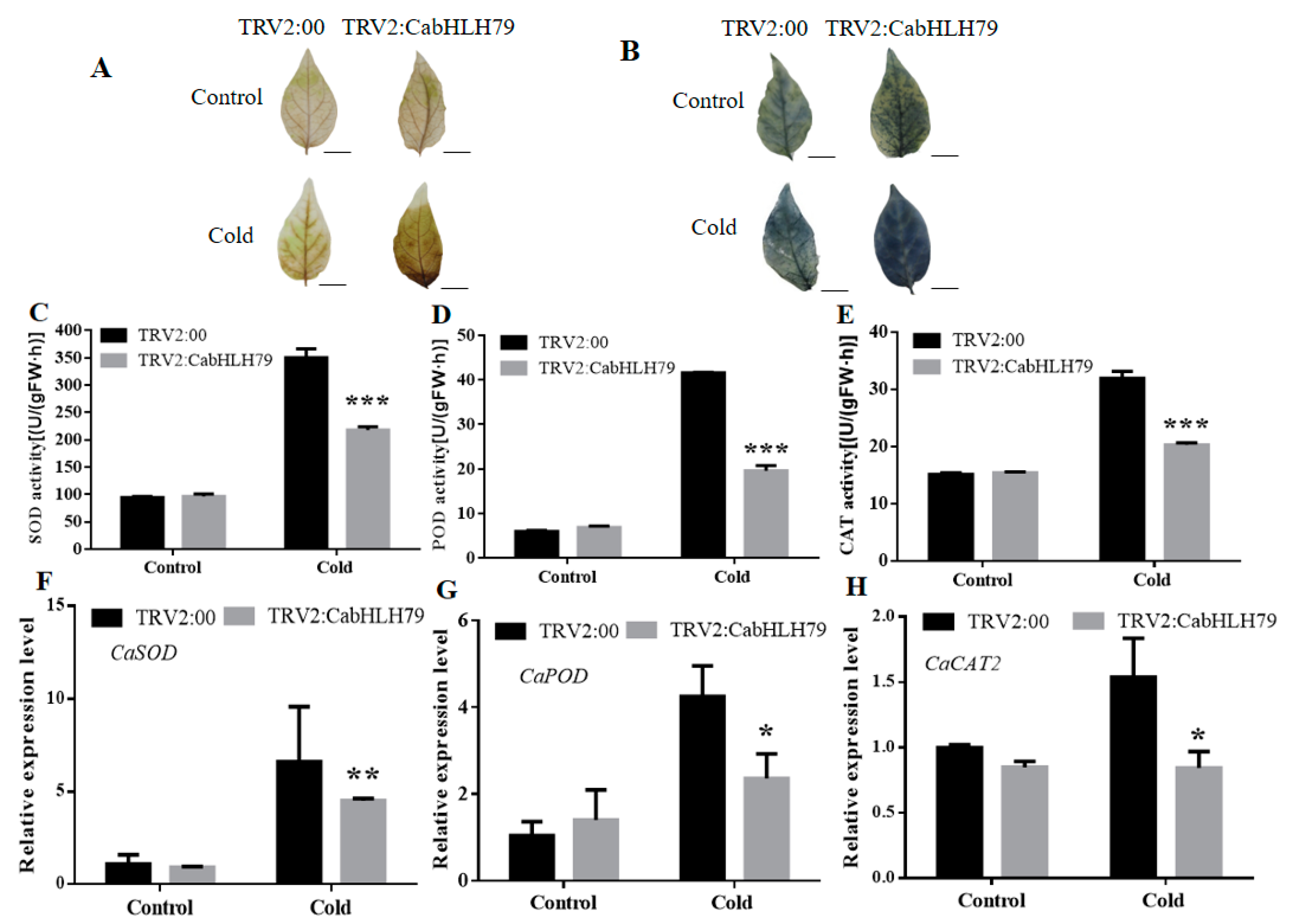 Ijms 23 02537 g003 550