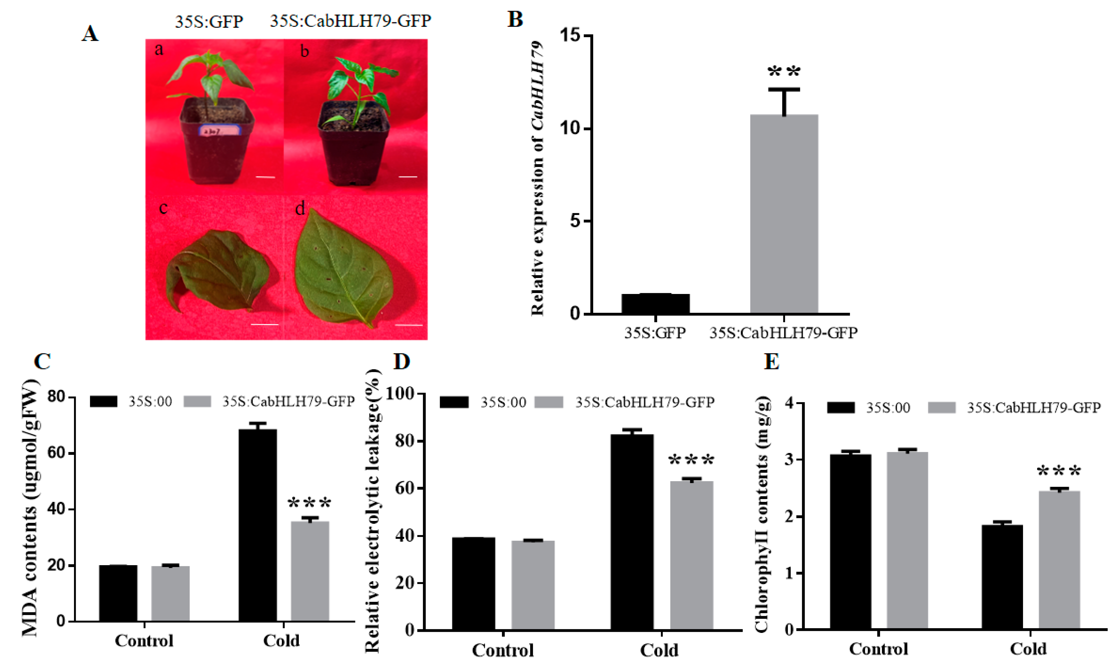 Ijms 23 02537 g004 550