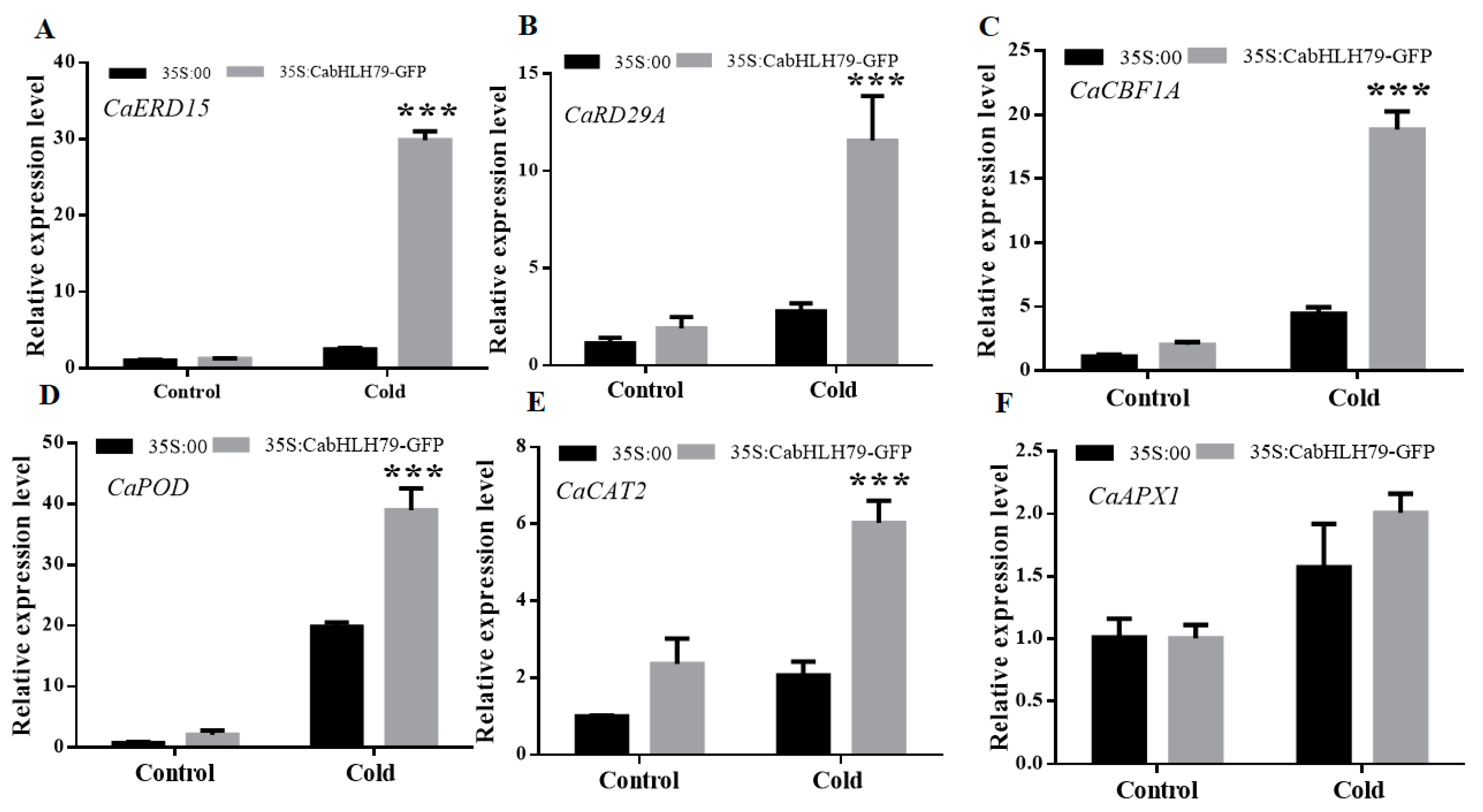 Ijms 23 02537 g005 550