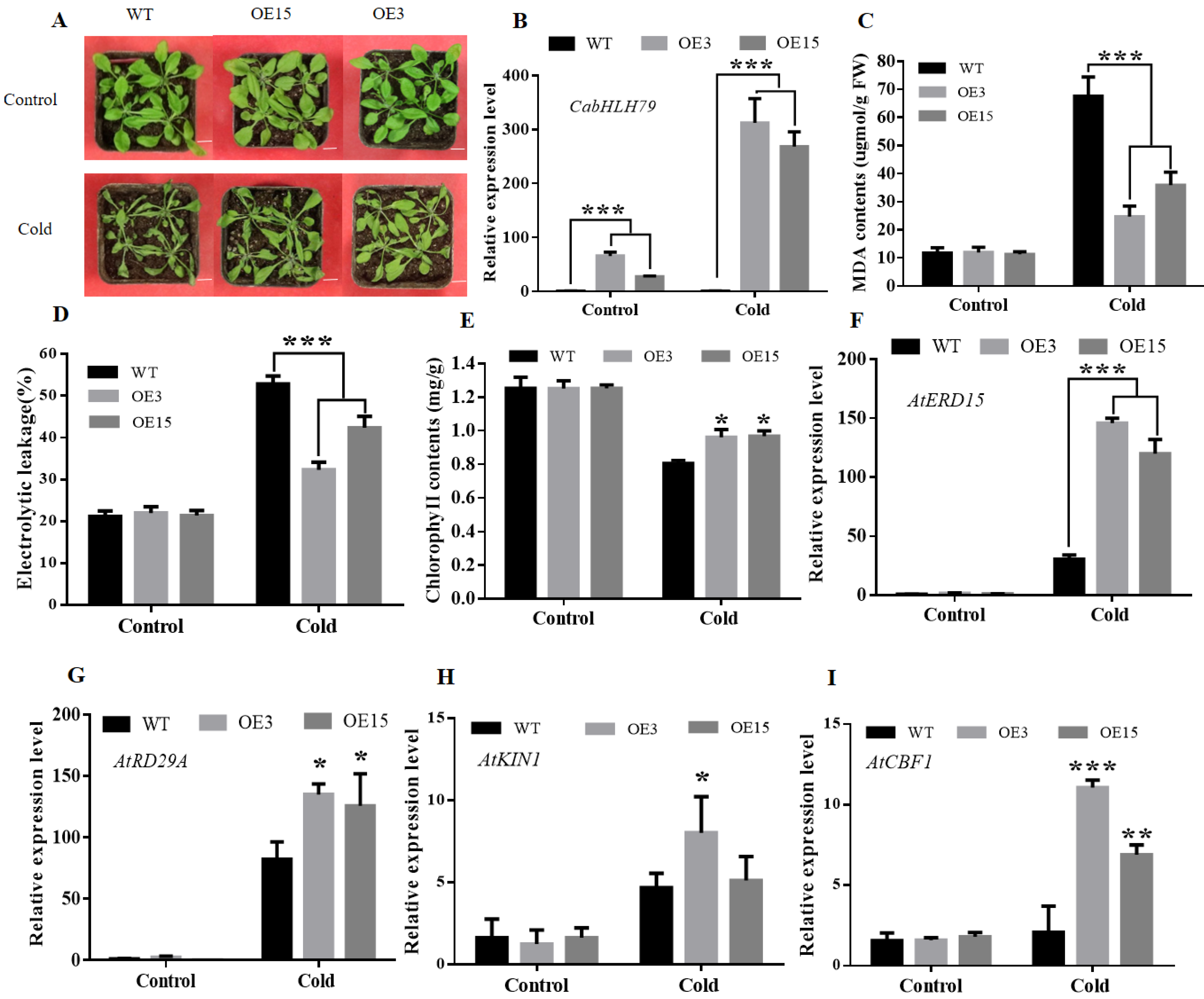 Ijms 23 02537 g006 550
