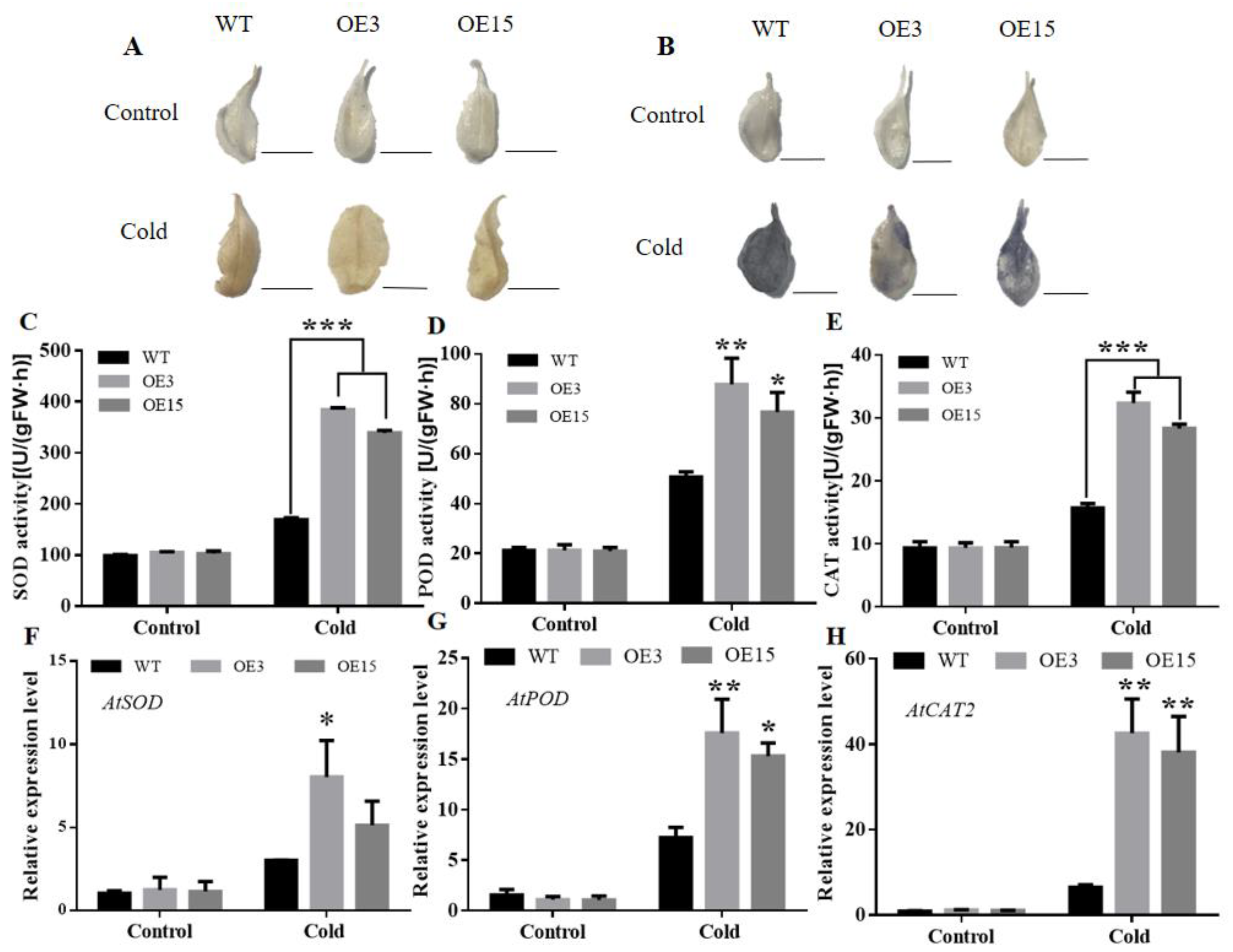 Ijms 23 02537 g007 550