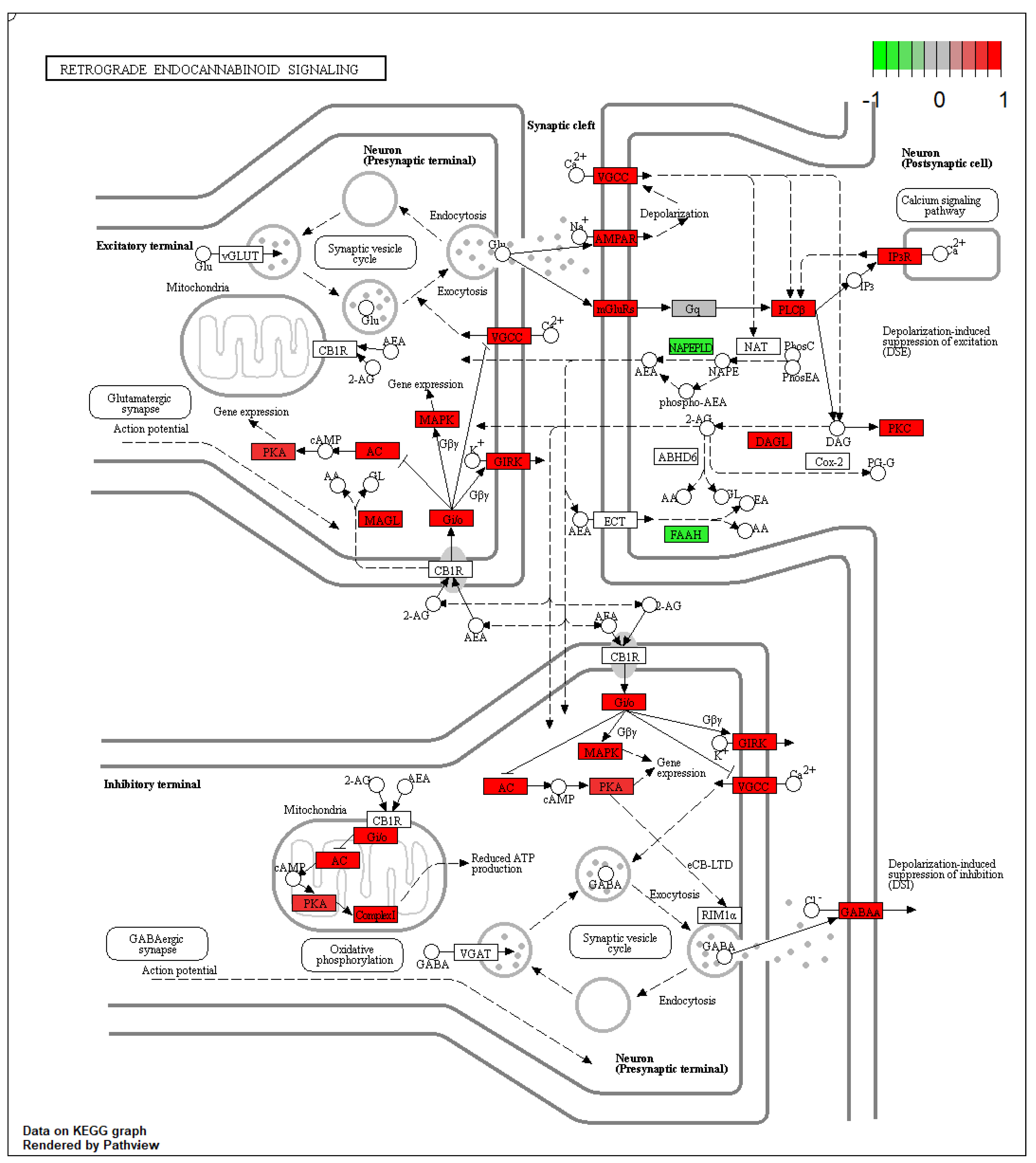 Ijms 23 02538 g002 Ijms 23 02538 g002