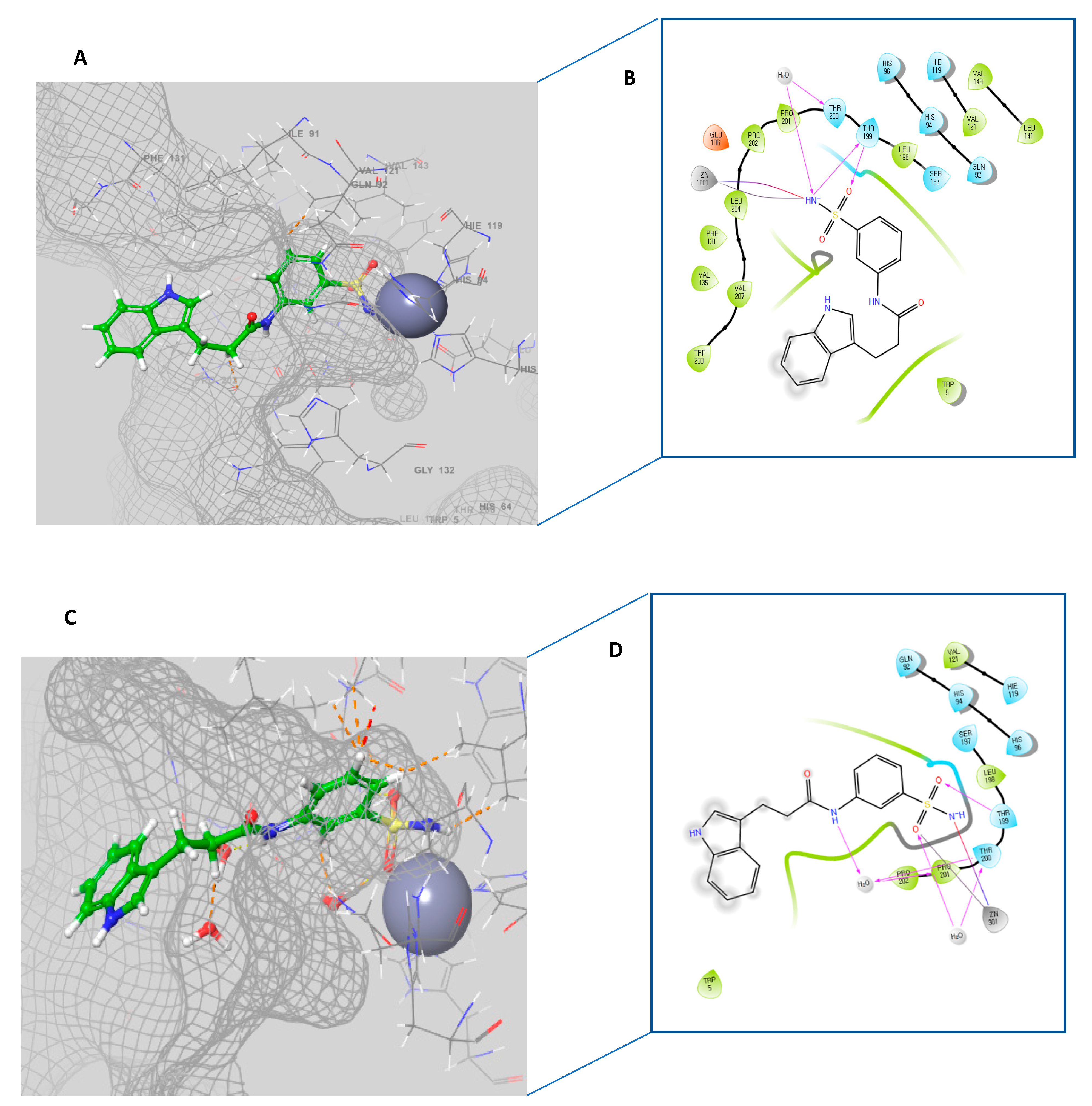Ijms 23 02540 g005 550