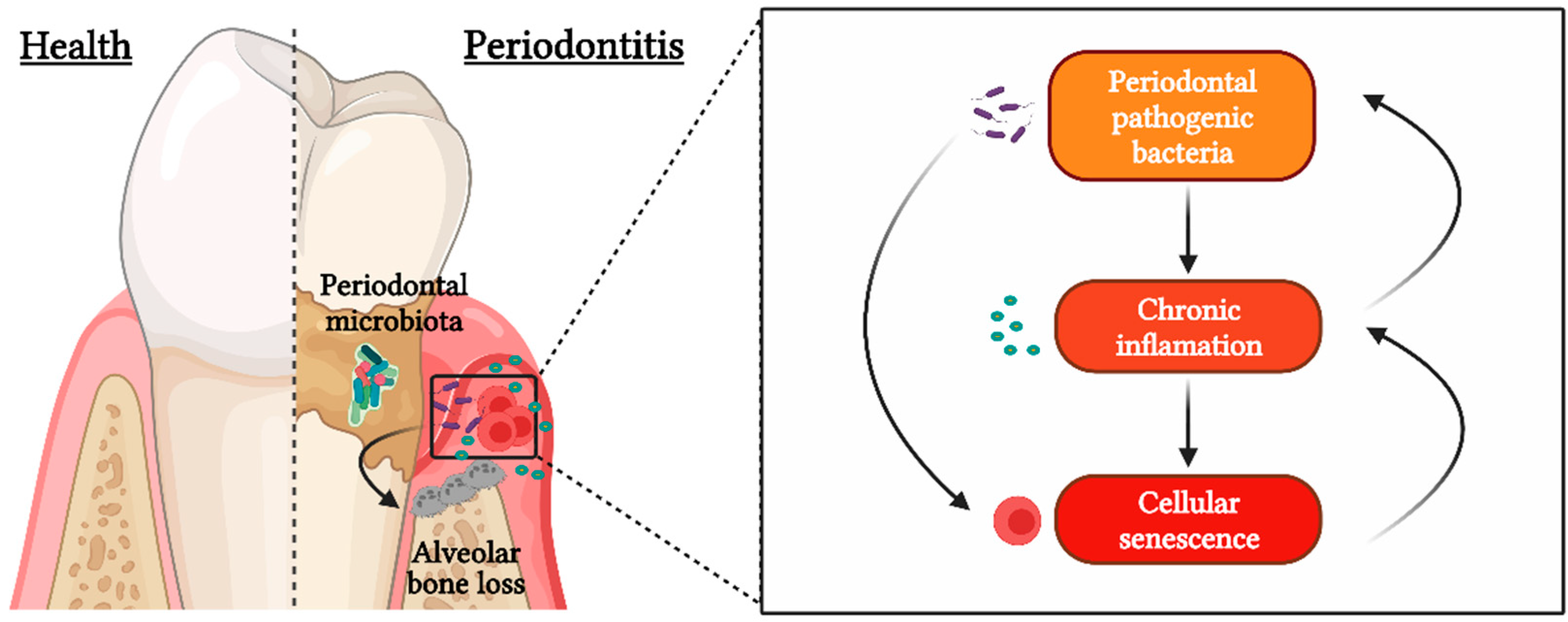 Ijms 23 02543 g001 550