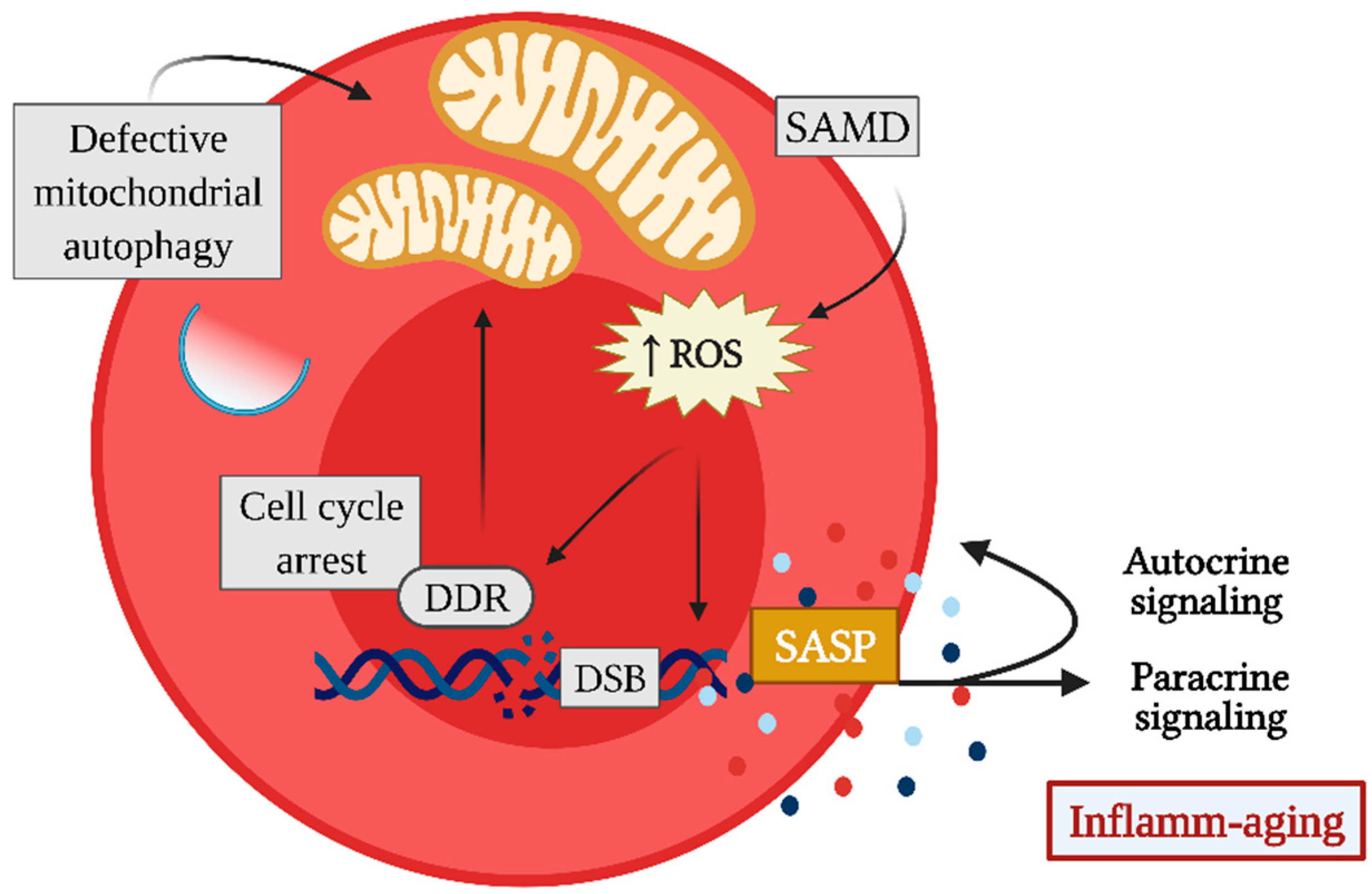 Ijms 23 02543 g002 550