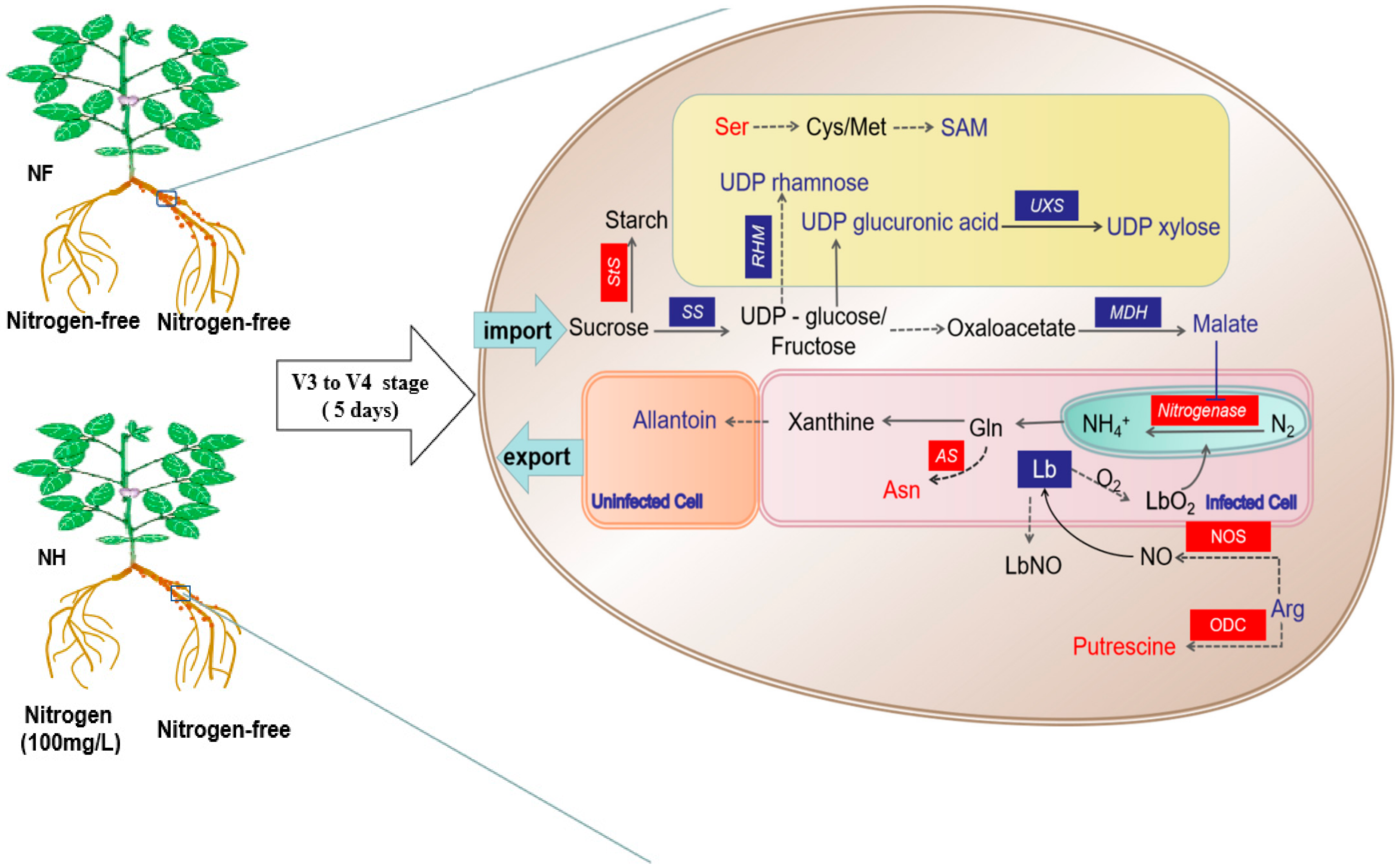 Ijms 23 02545 g009 550