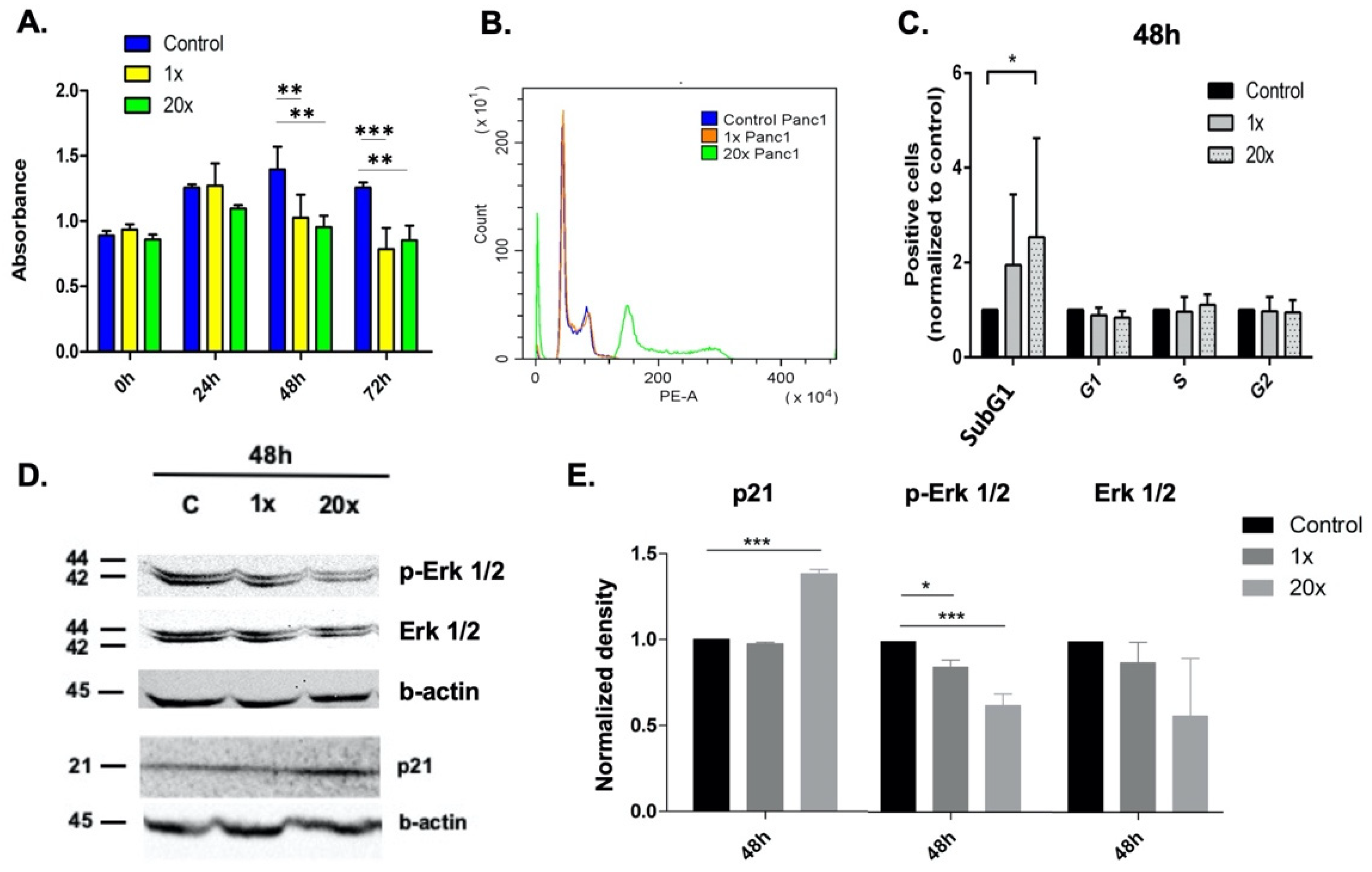 Ijms 23 02546 g001 Ijms 23 02546 g001