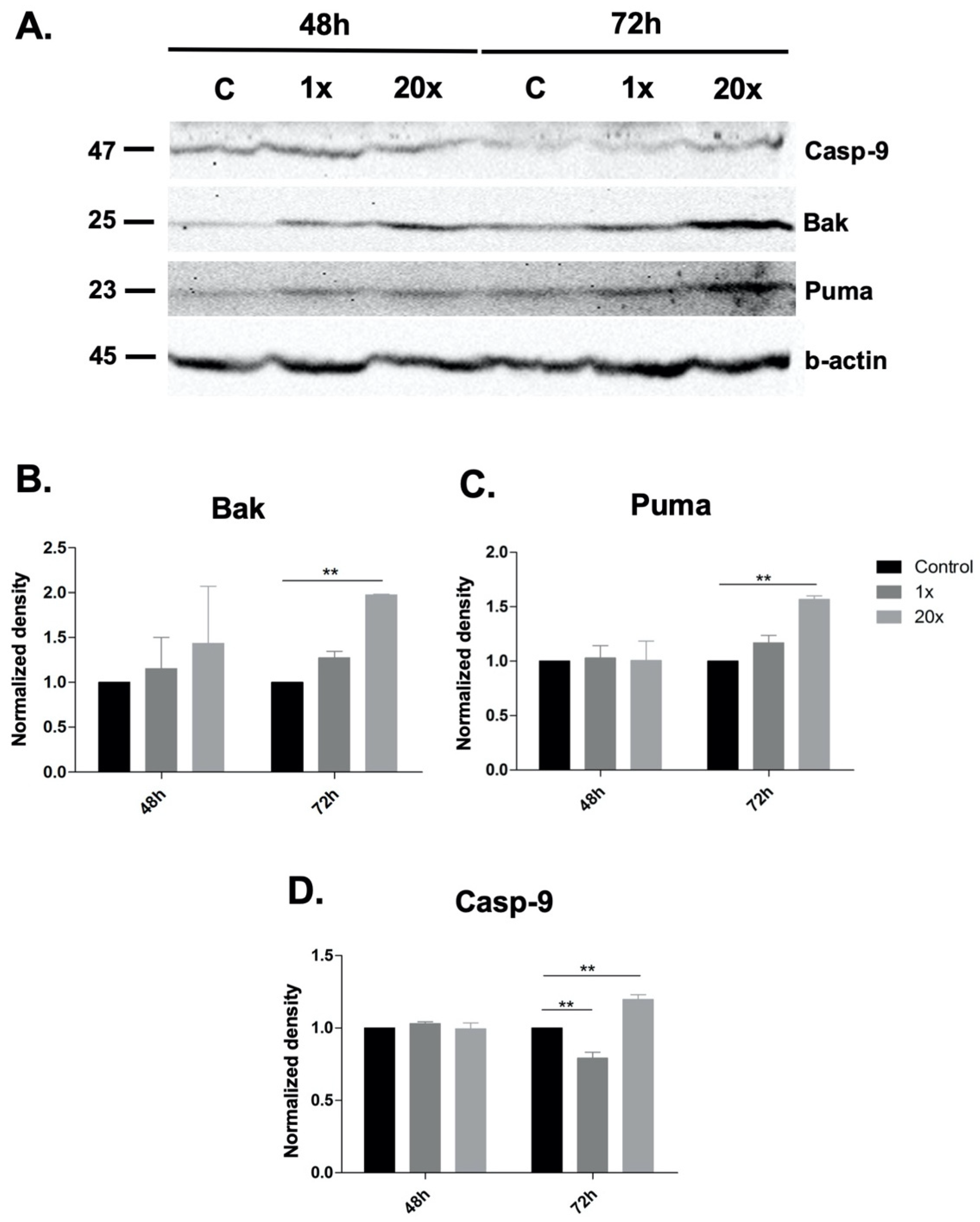 Ijms 23 02546 g003 Ijms 23 02546 g003