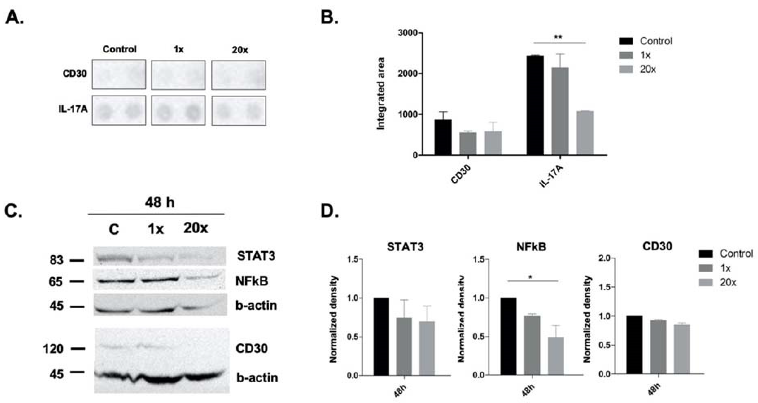 Ijms 23 02546 g005 Ijms 23 02546 g005