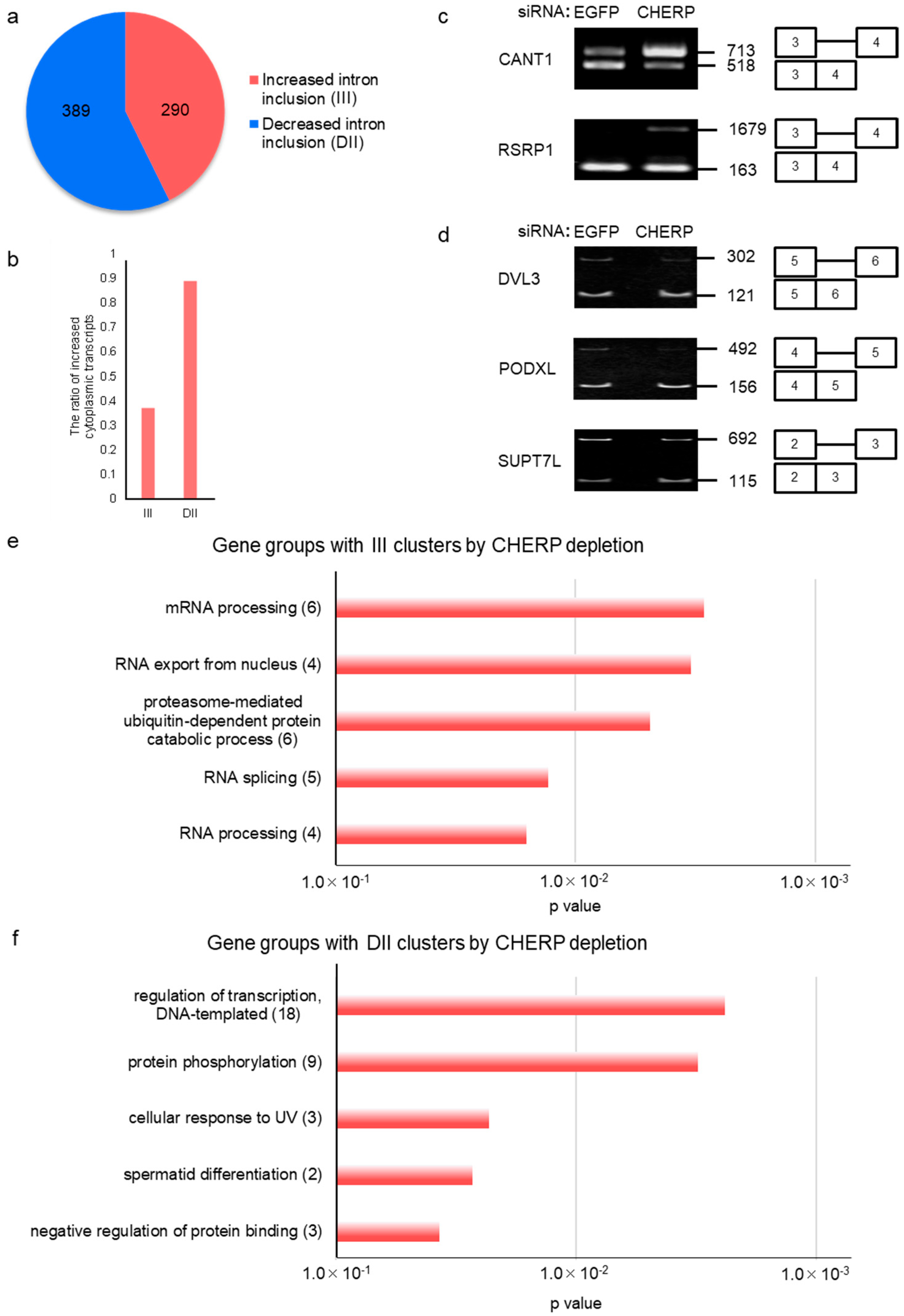 Ijms 23 02555 g002 550
