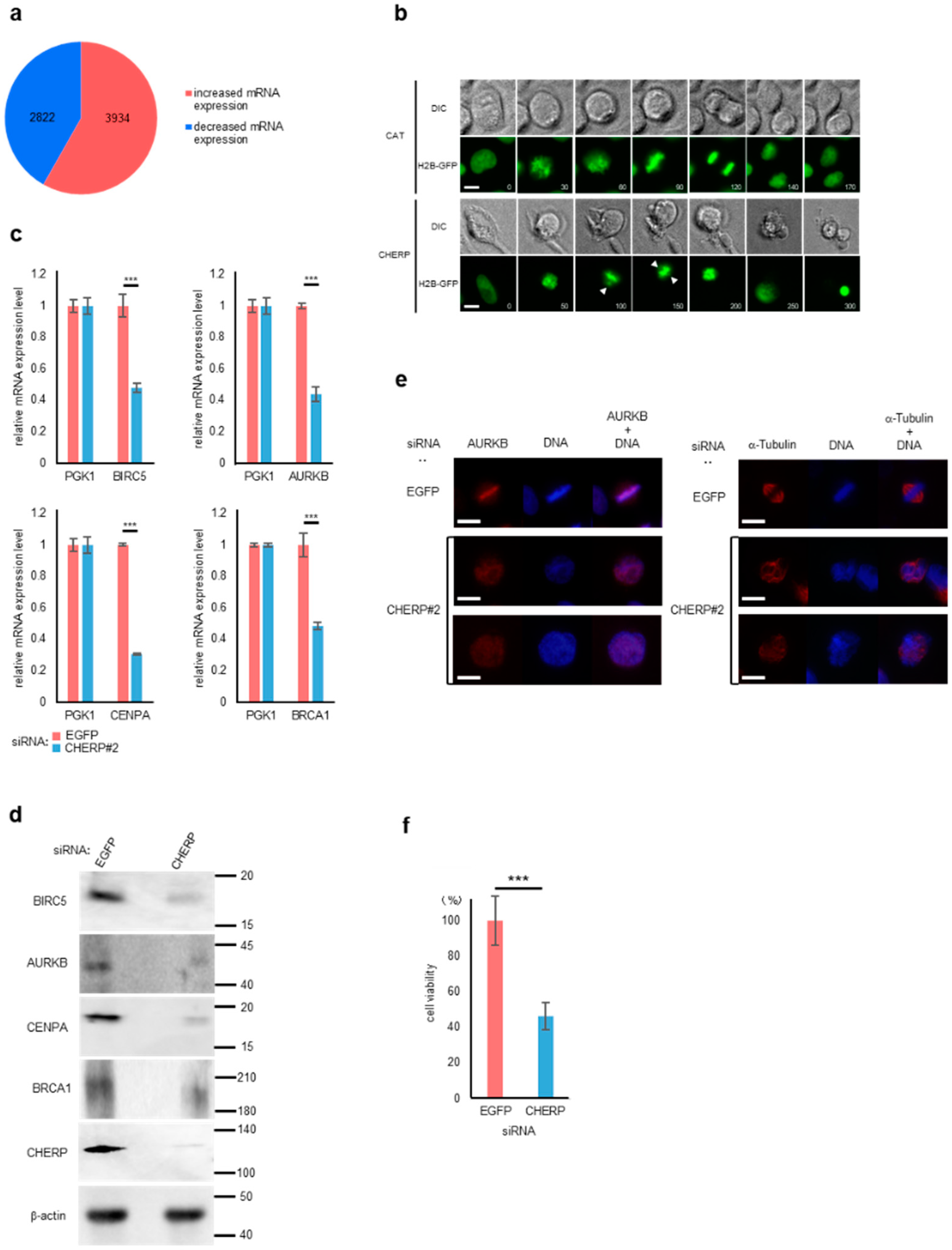Ijms 23 02555 g006 550