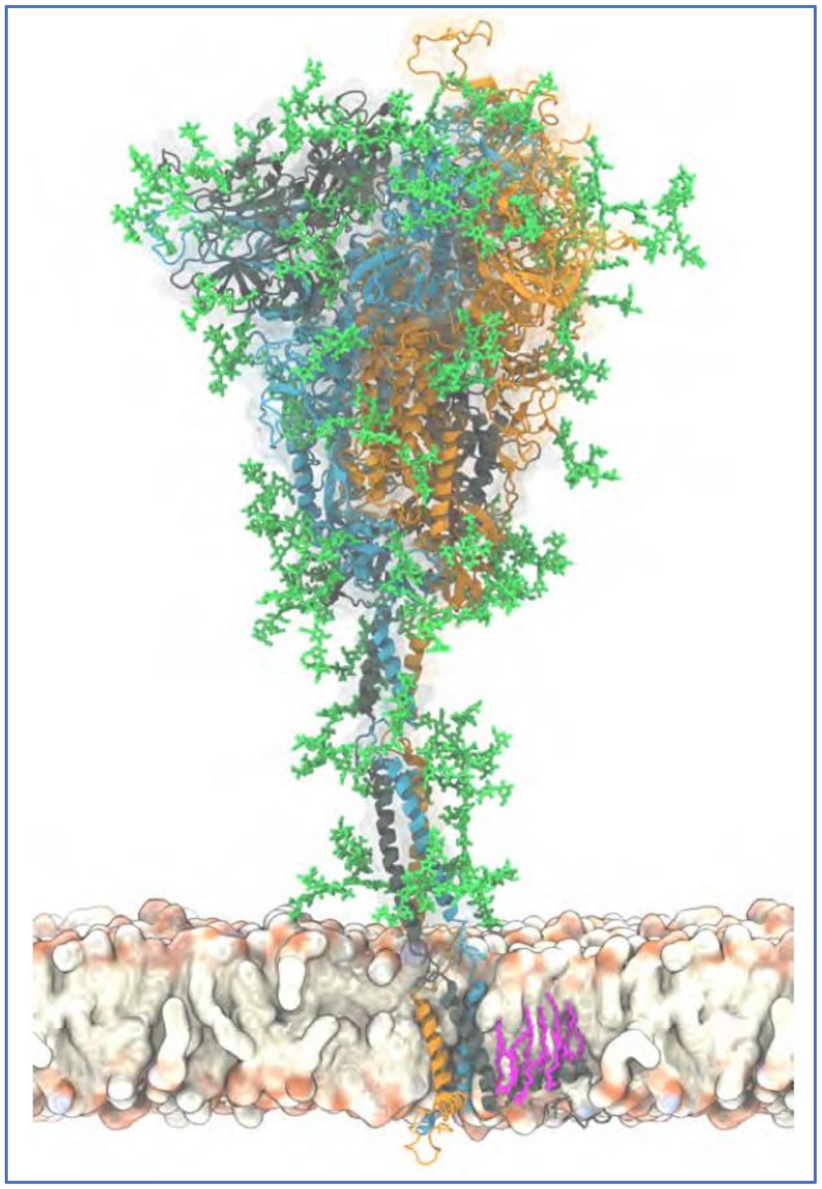 Ijms 23 02558 g003 Ijms 23 02558 g003