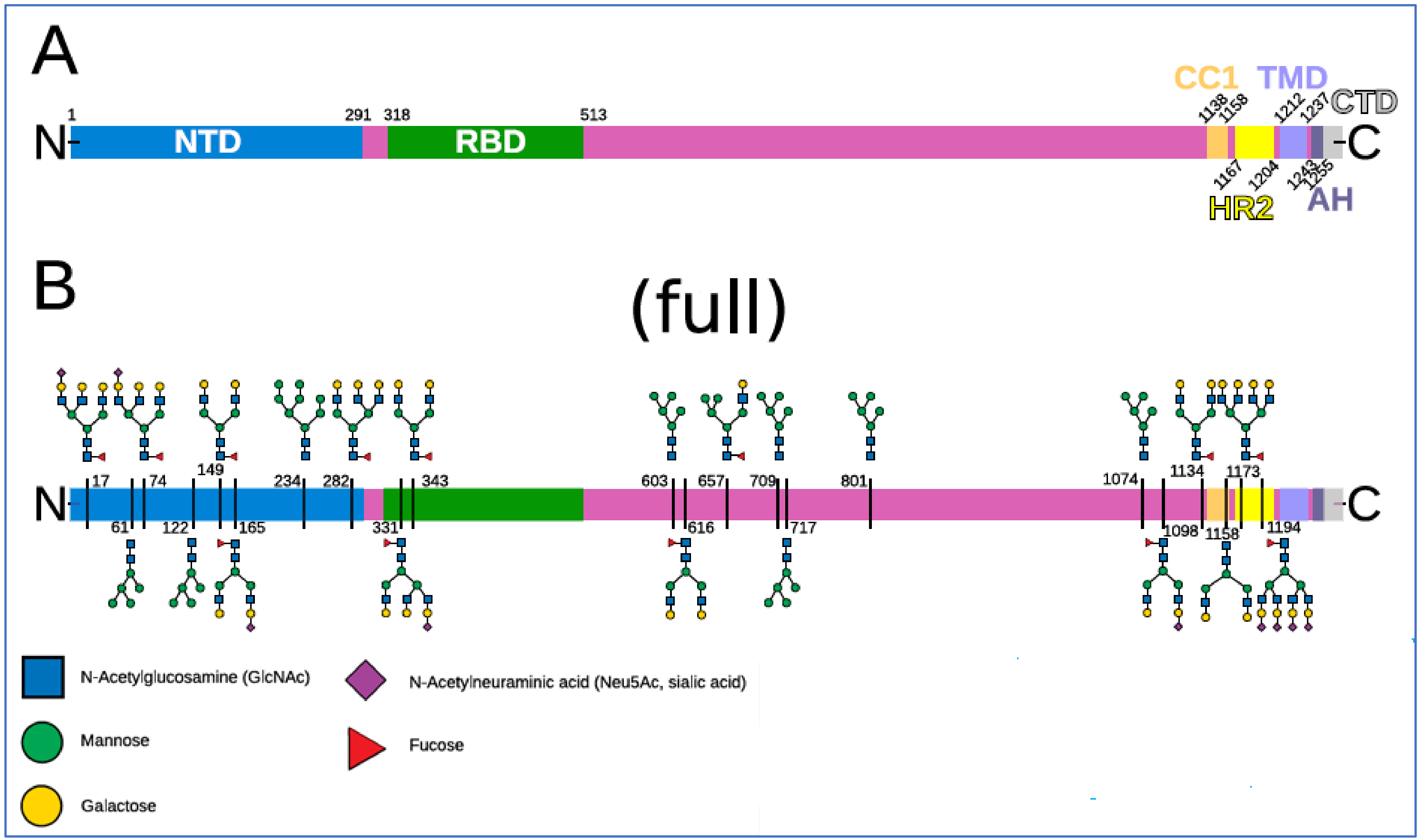 Ijms 23 02558 g004 Ijms 23 02558 g004