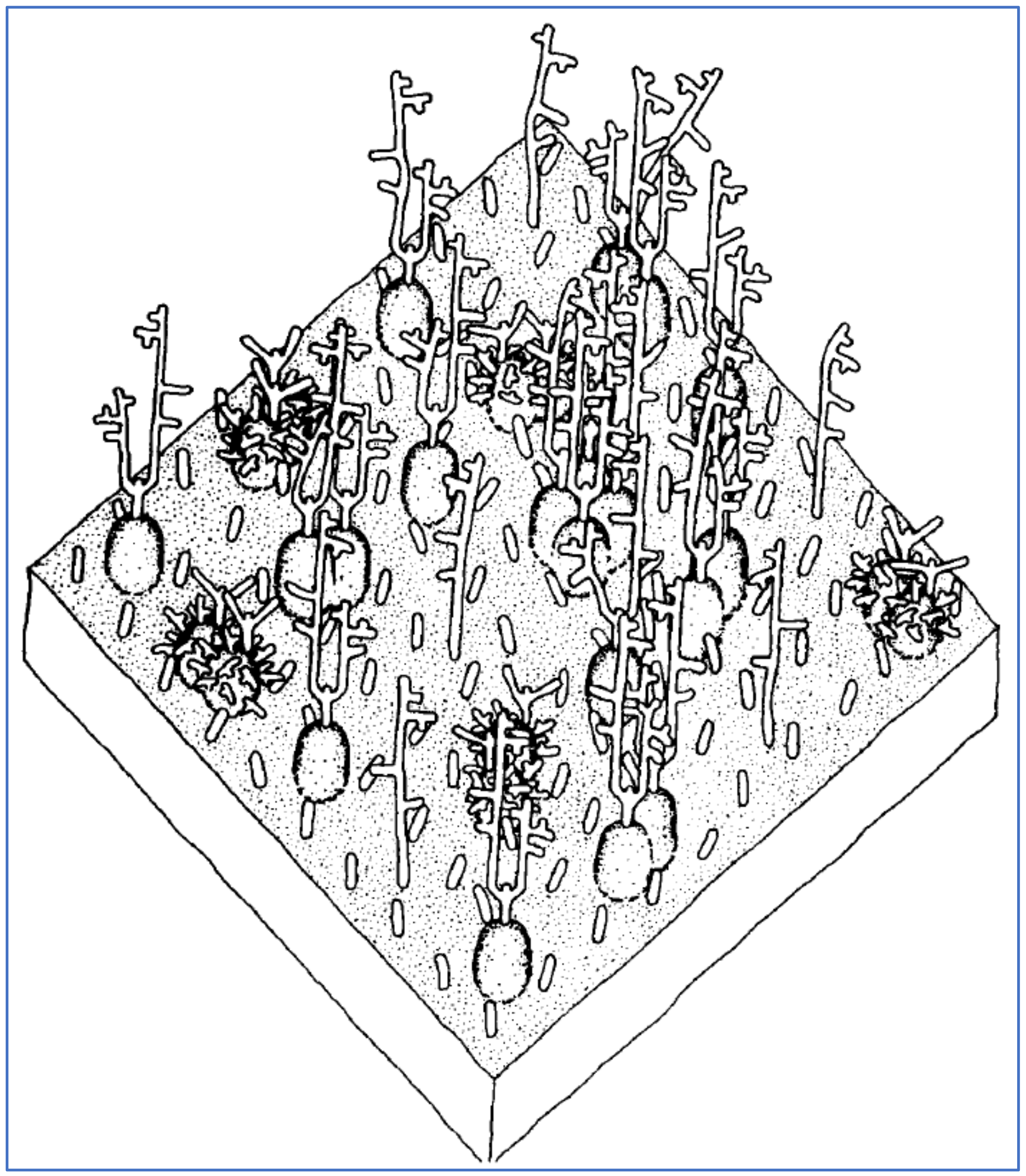 Ijms 23 02558 g005 Ijms 23 02558 g005