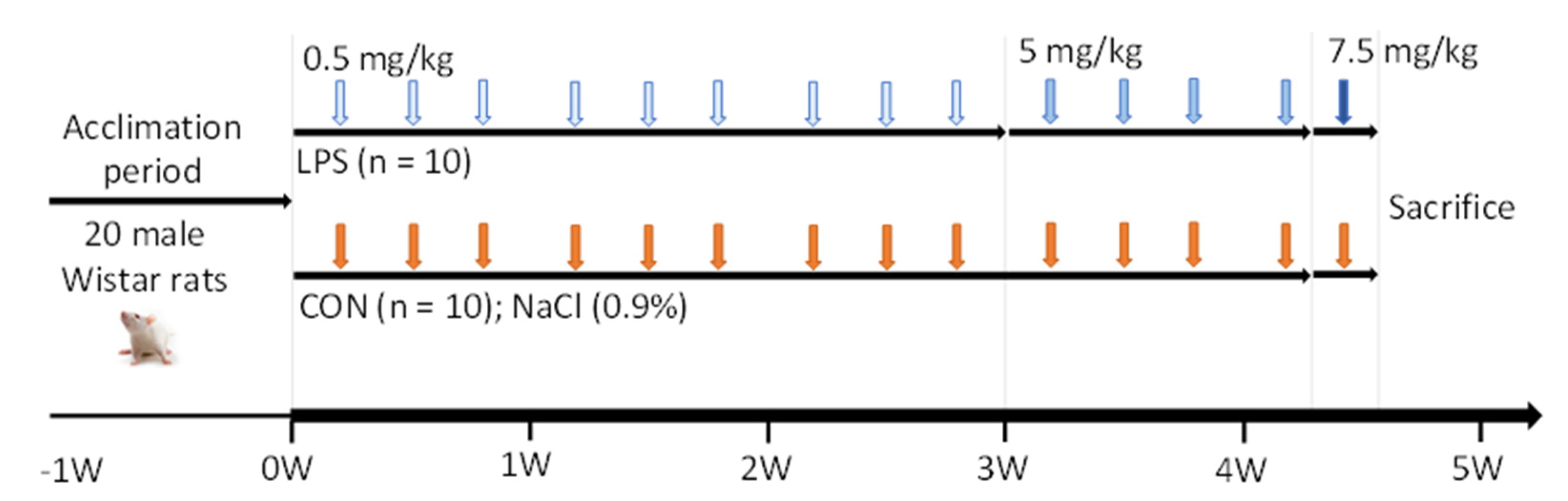 Ijms 23 02563 g007 550