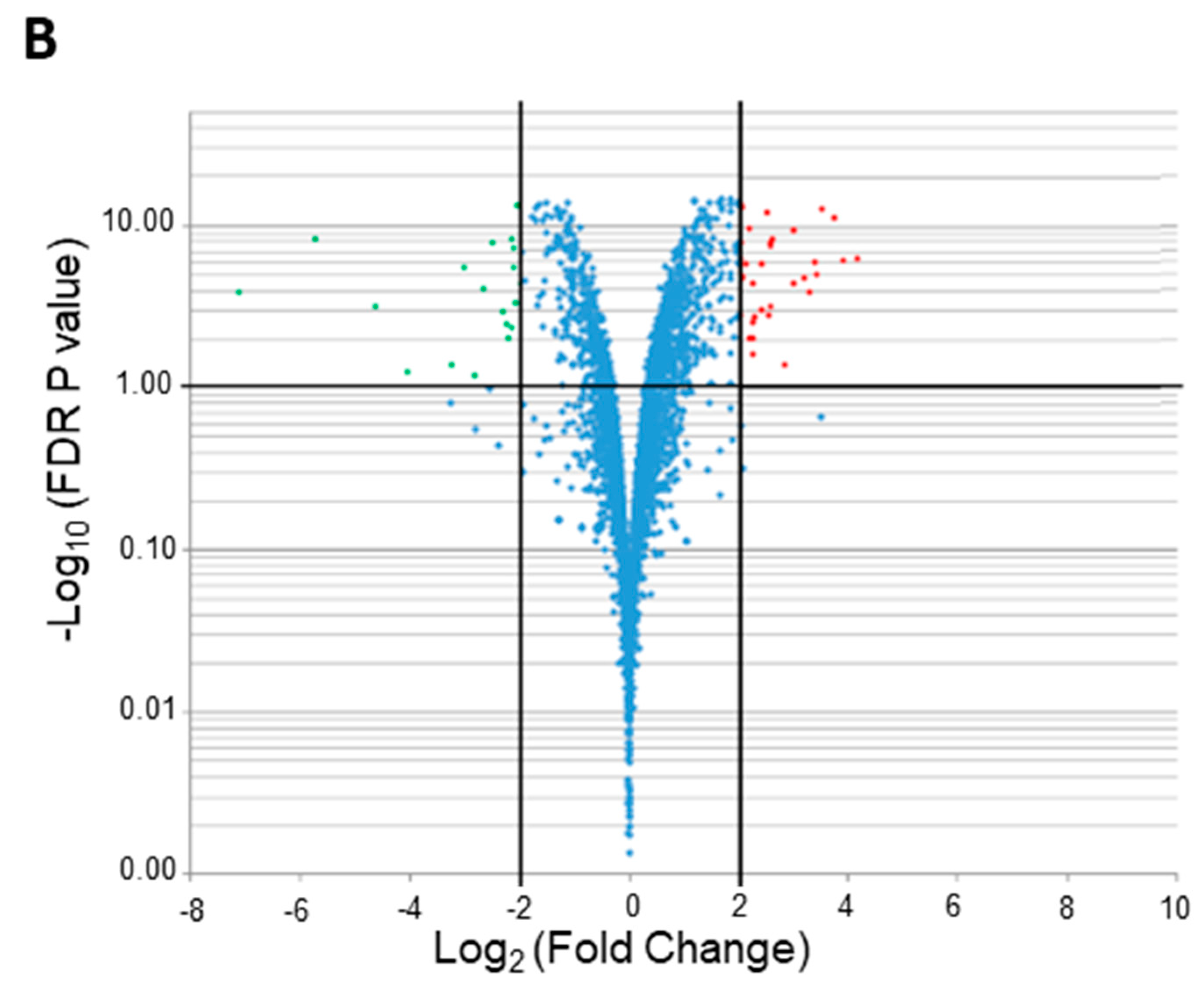 Ijms 23 02570 g001b Ijms 23 02570 g001b