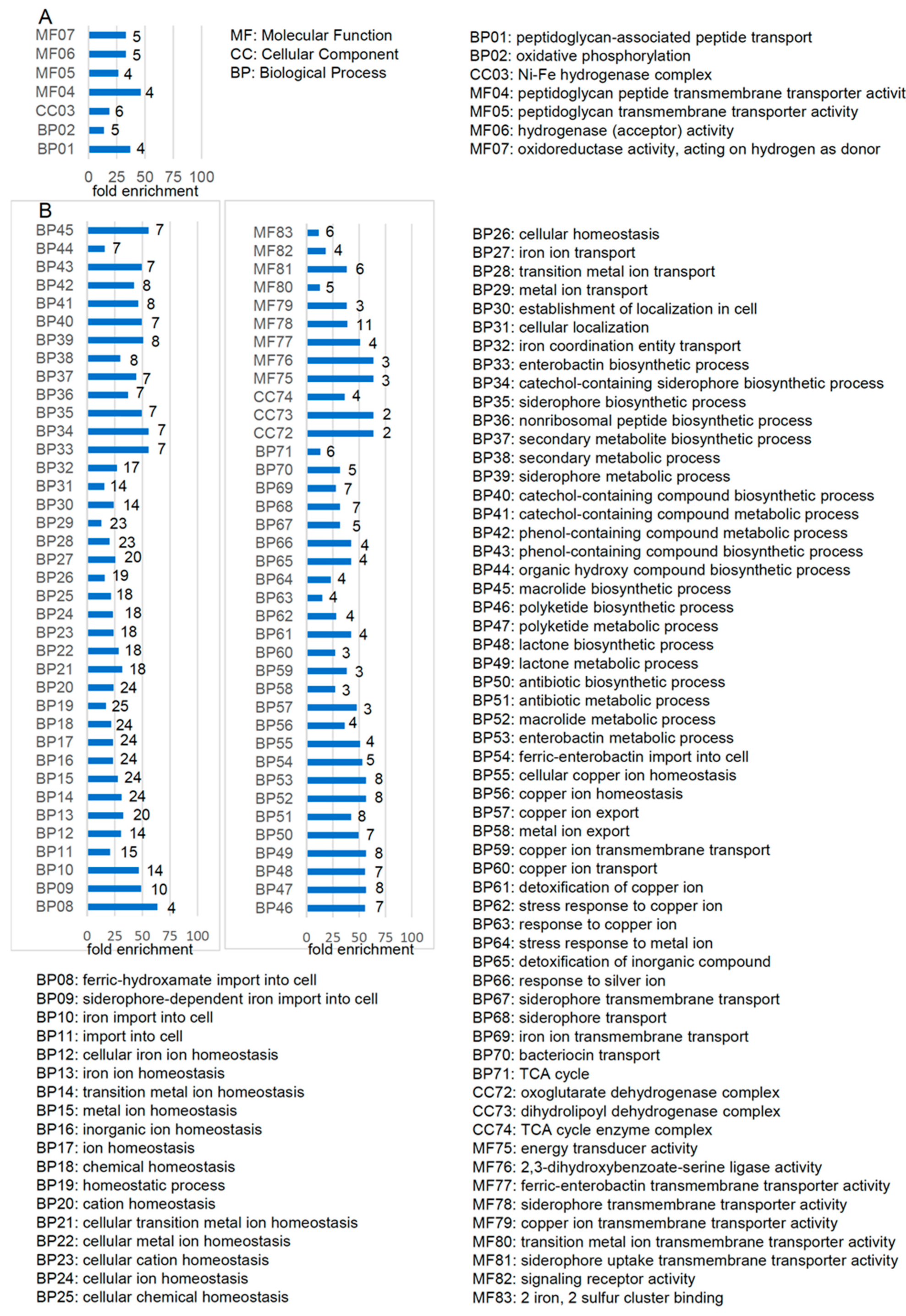 Ijms 23 02570 g002a Ijms 23 02570 g002a