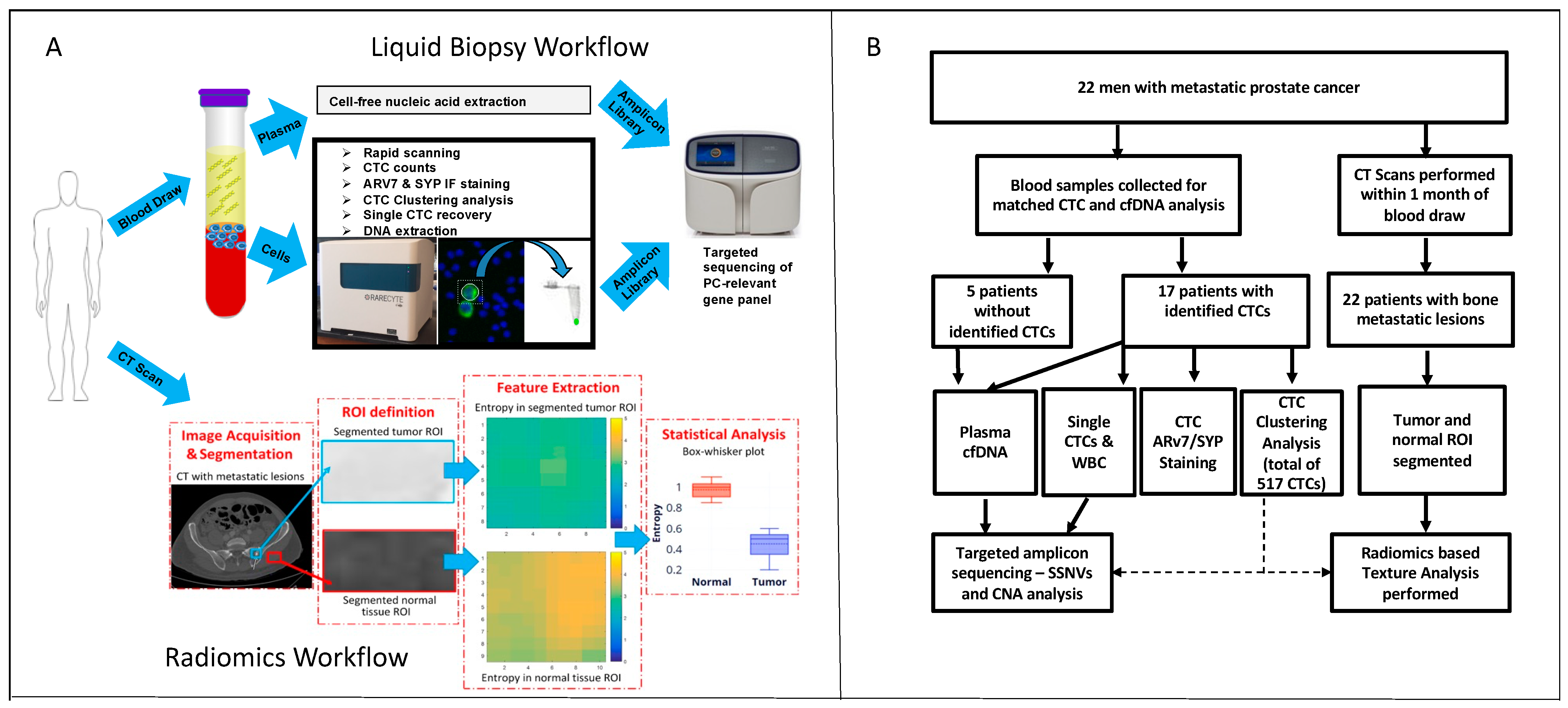 Ijms 23 02571 g001 550