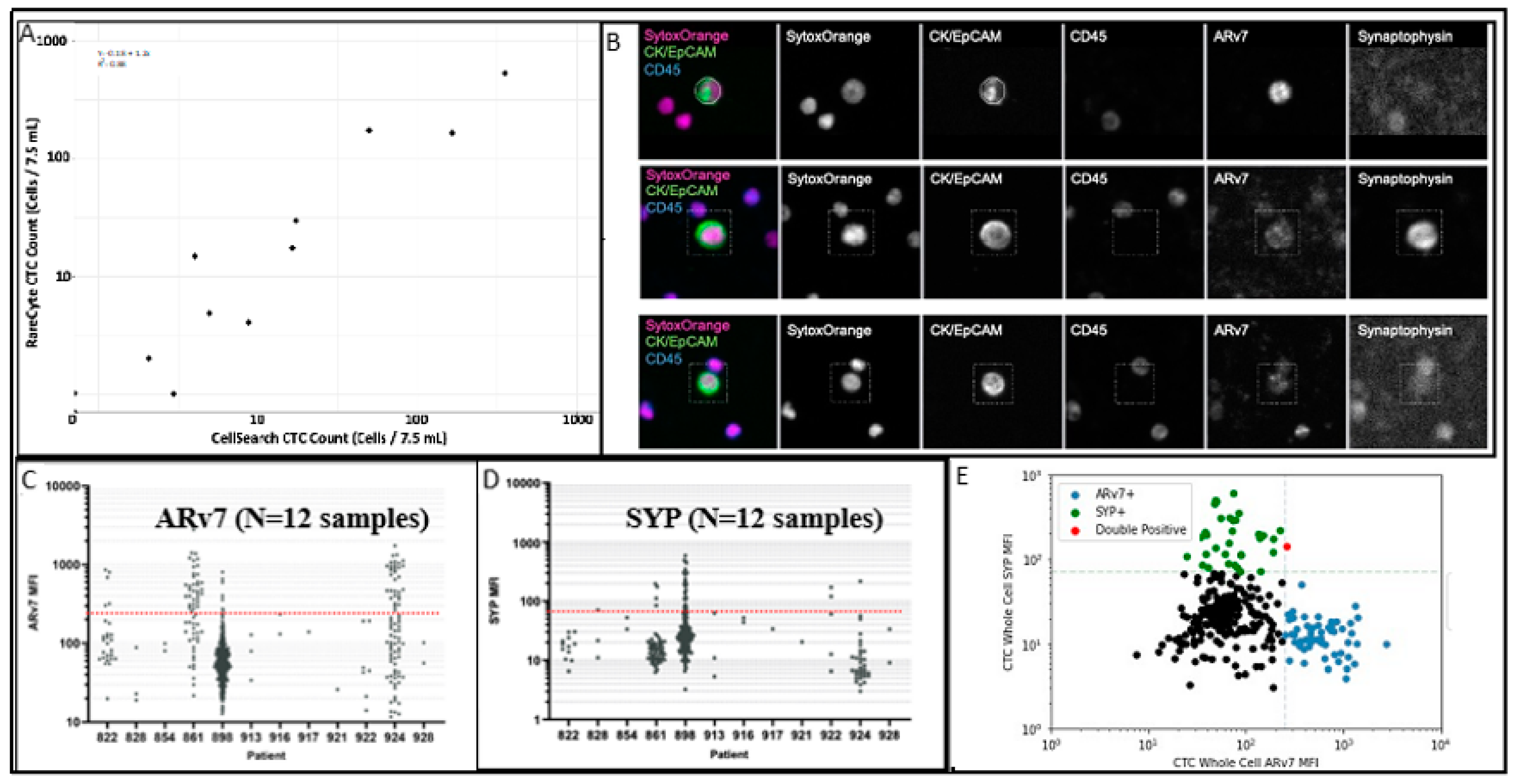 Ijms 23 02571 g002 550
