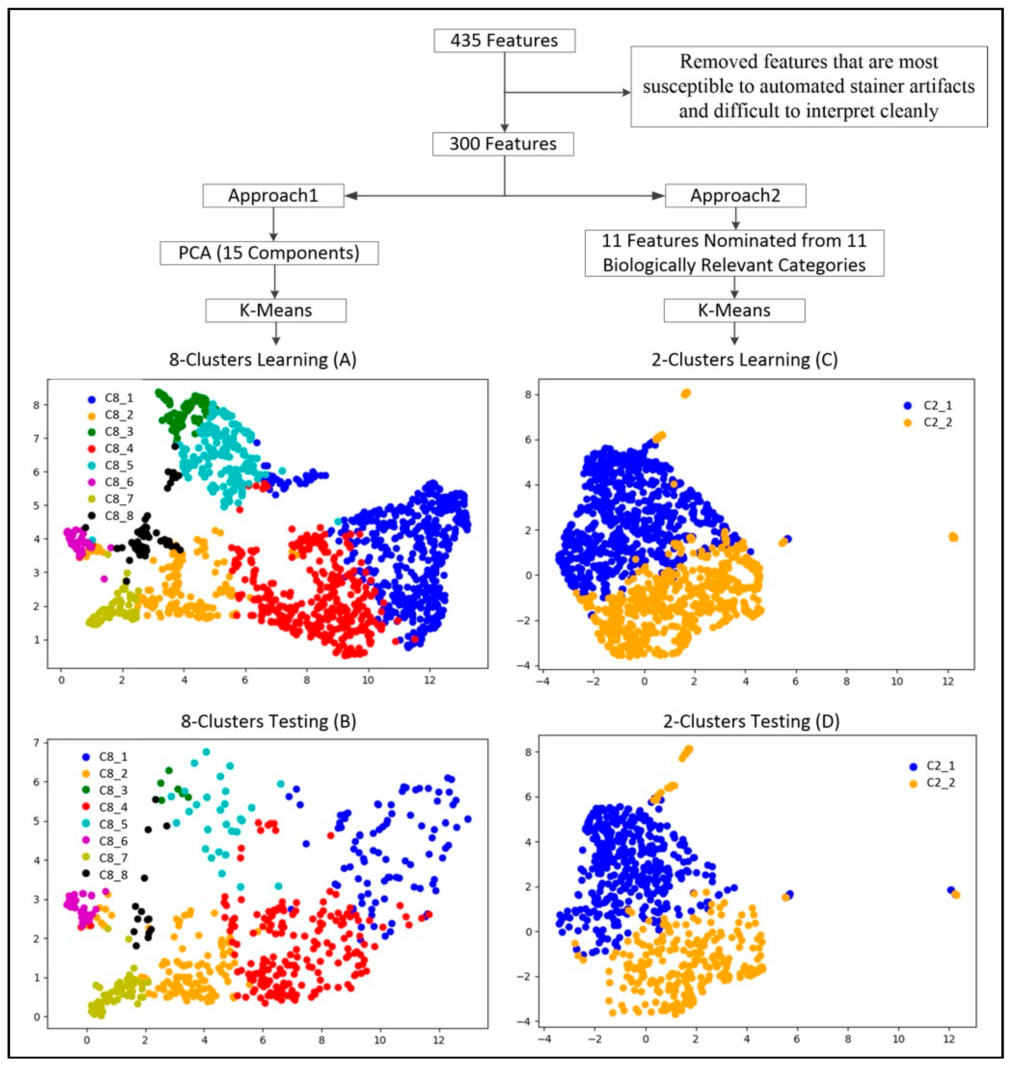 Ijms 23 02571 g004 550