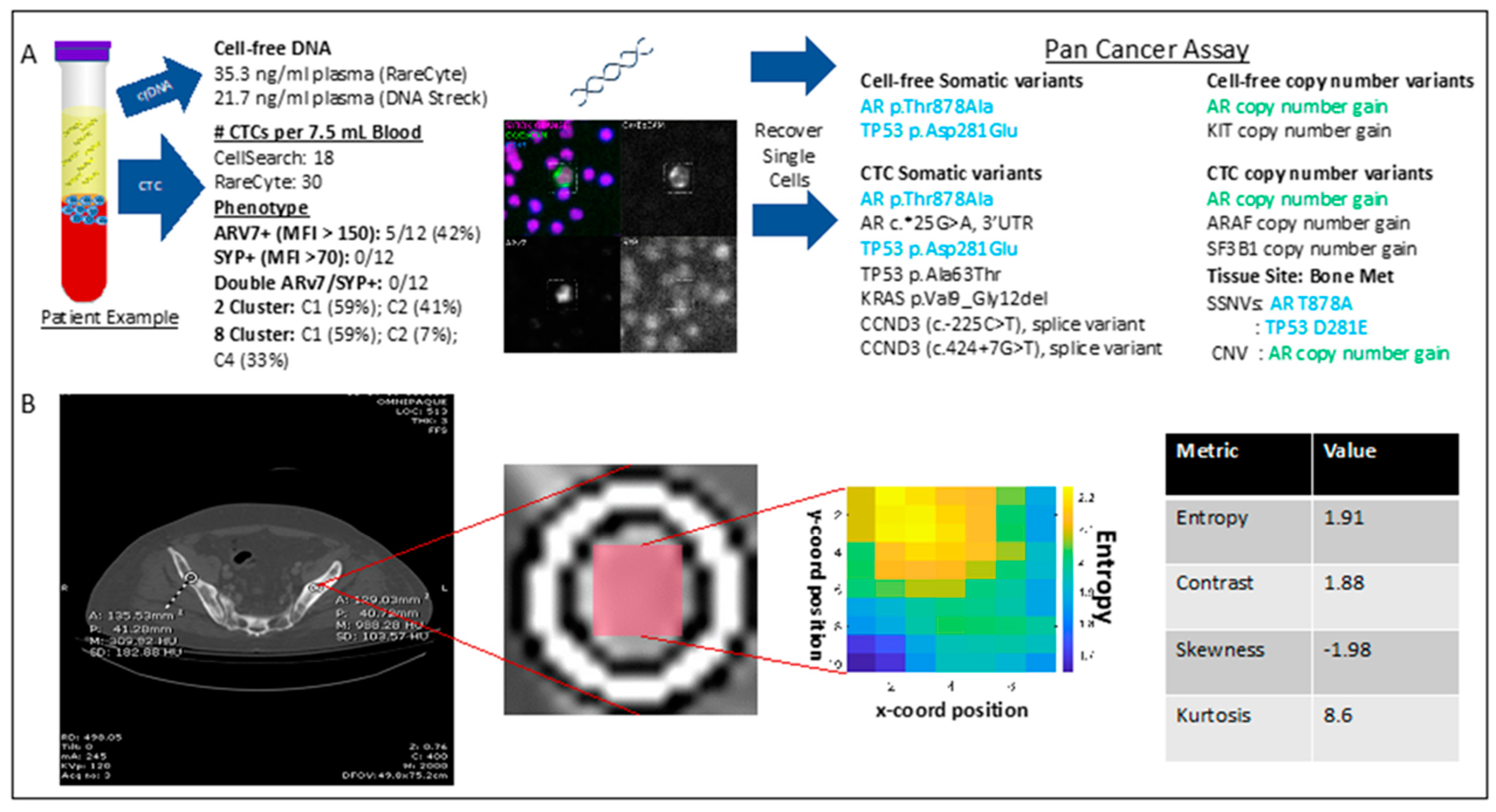 Ijms 23 02571 g008 550