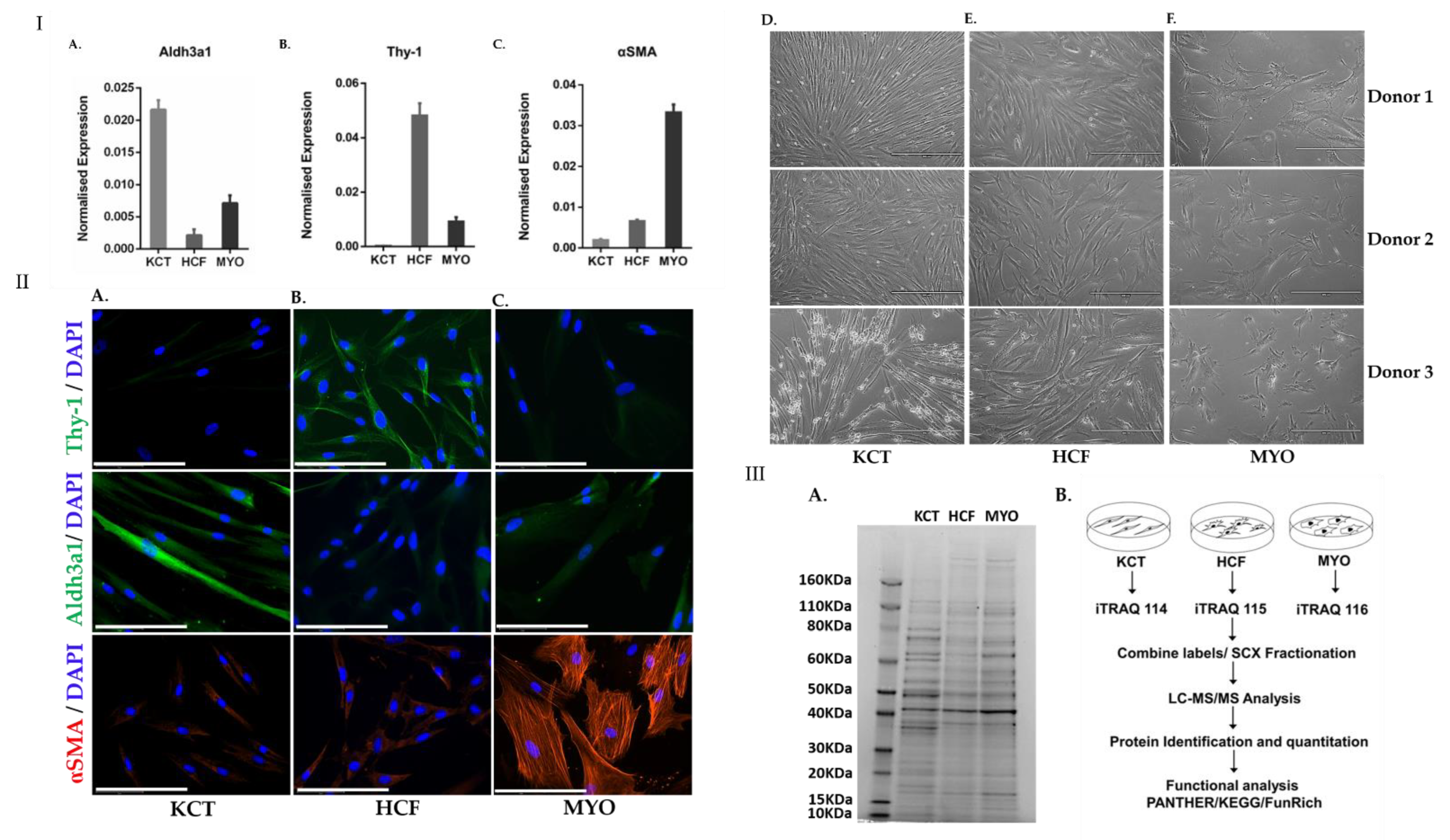 Ijms 23 02572 g001 550