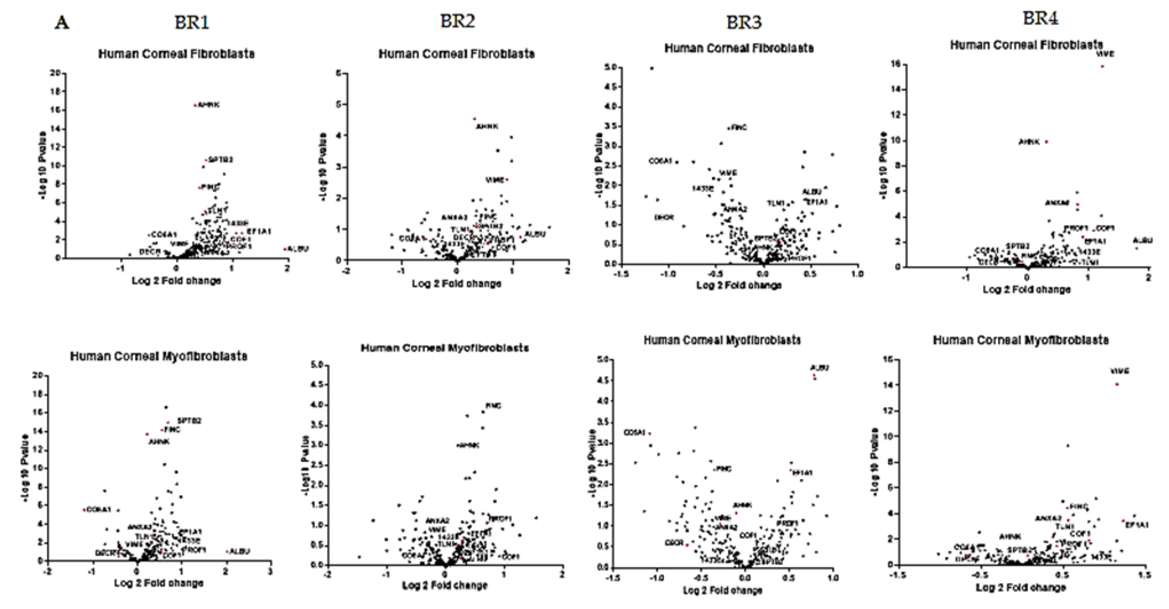 Ijms 23 02572 g002a 550