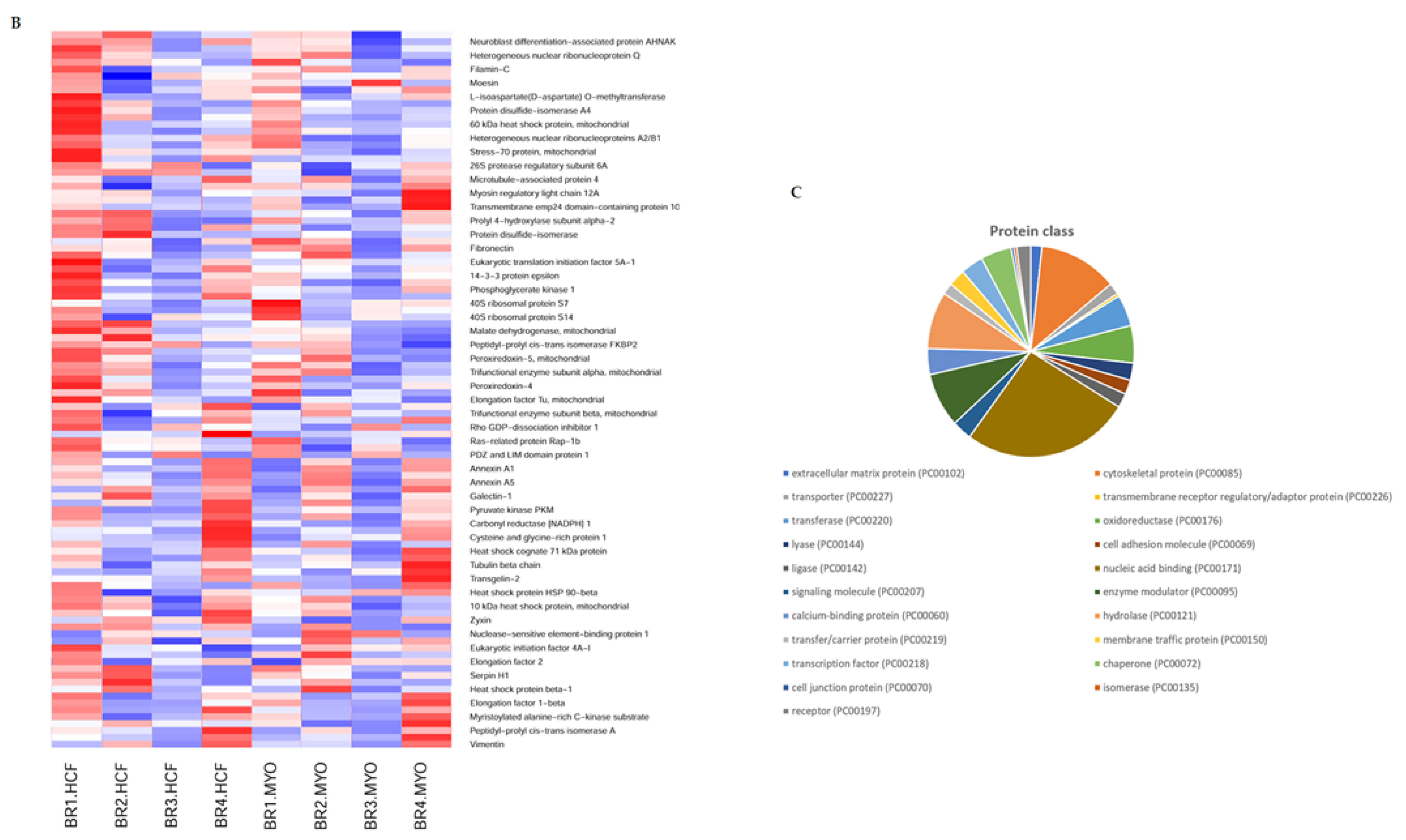 Ijms 23 02572 g002b 550