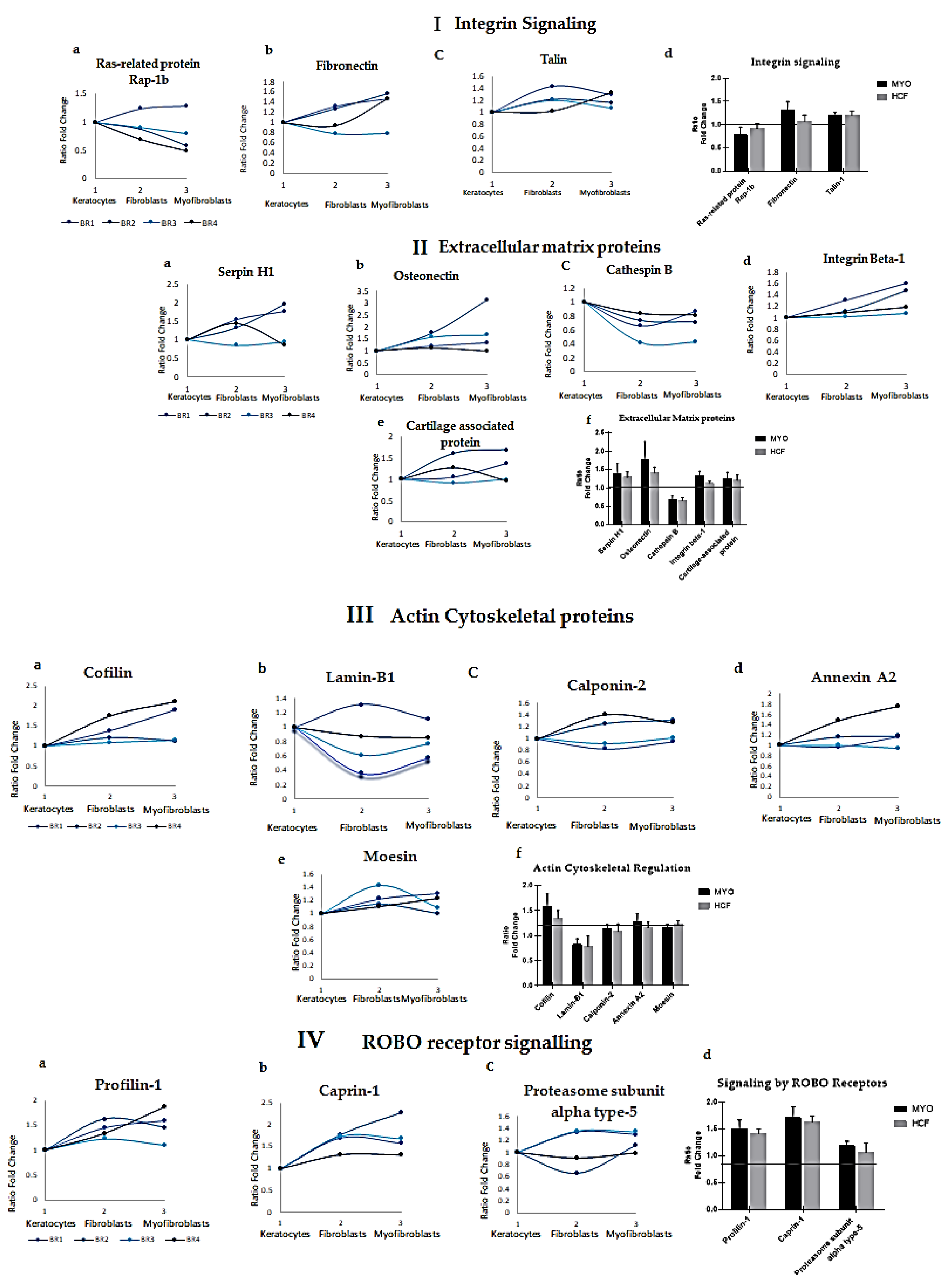Ijms 23 02572 g003 550