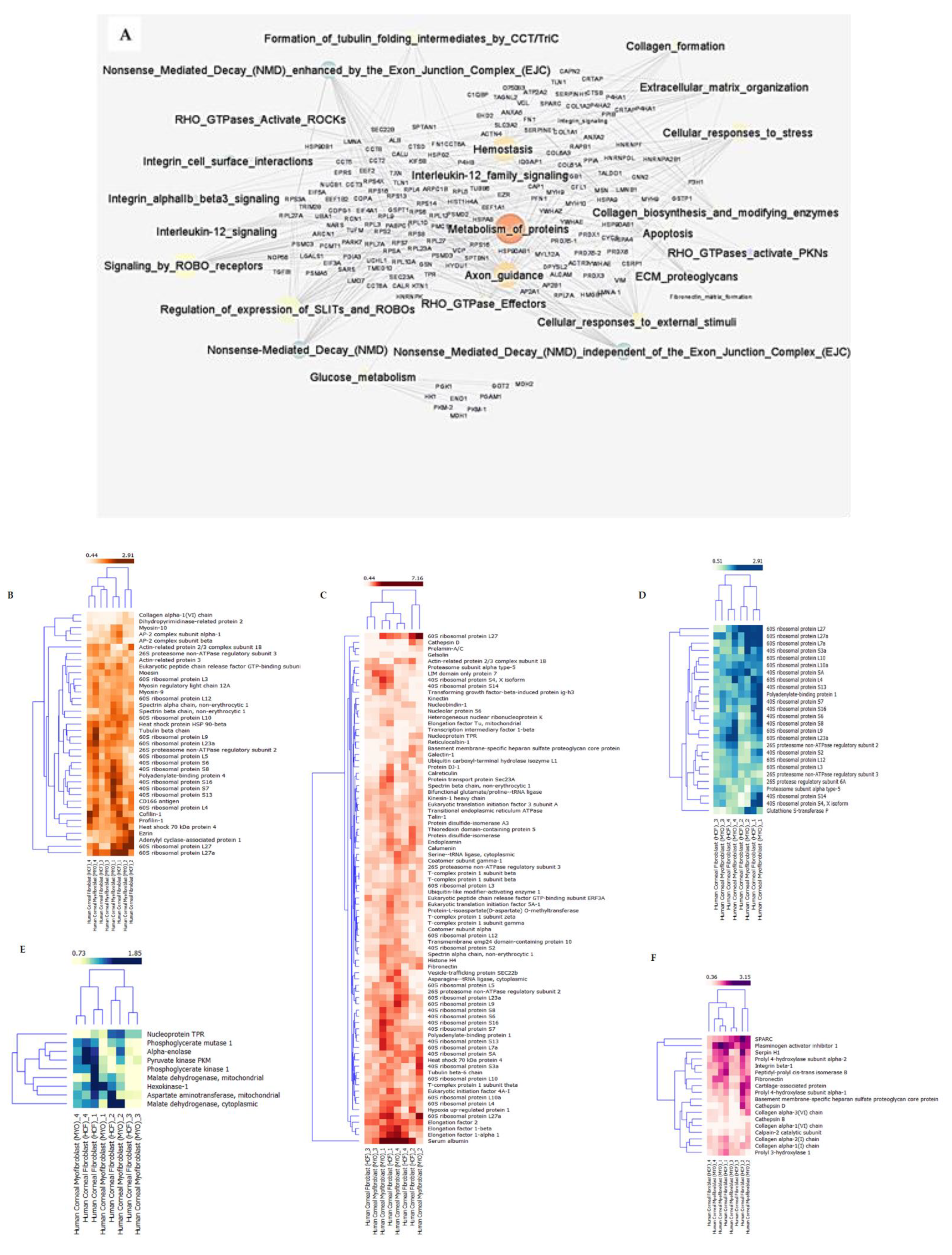 Ijms 23 02572 g004 550