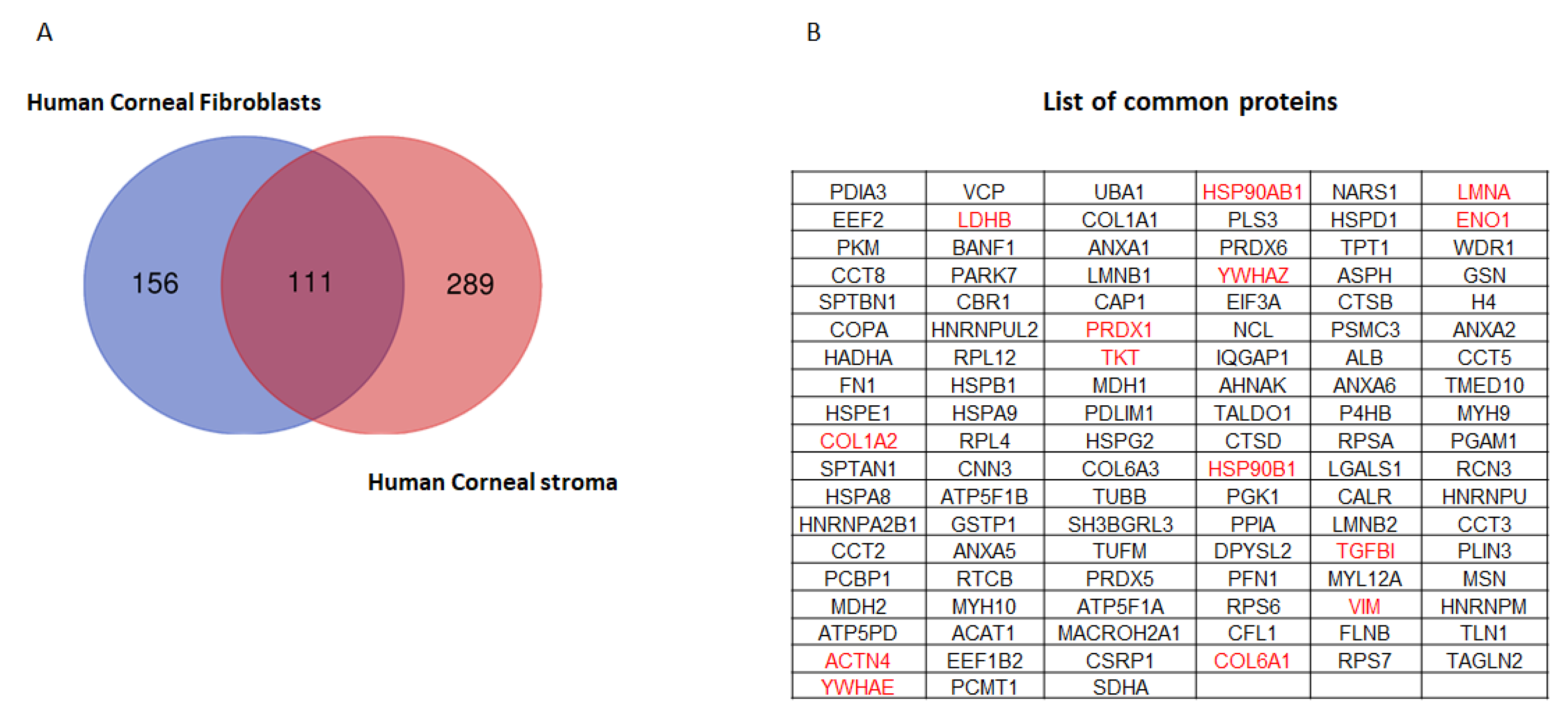 Ijms 23 02572 g006 550