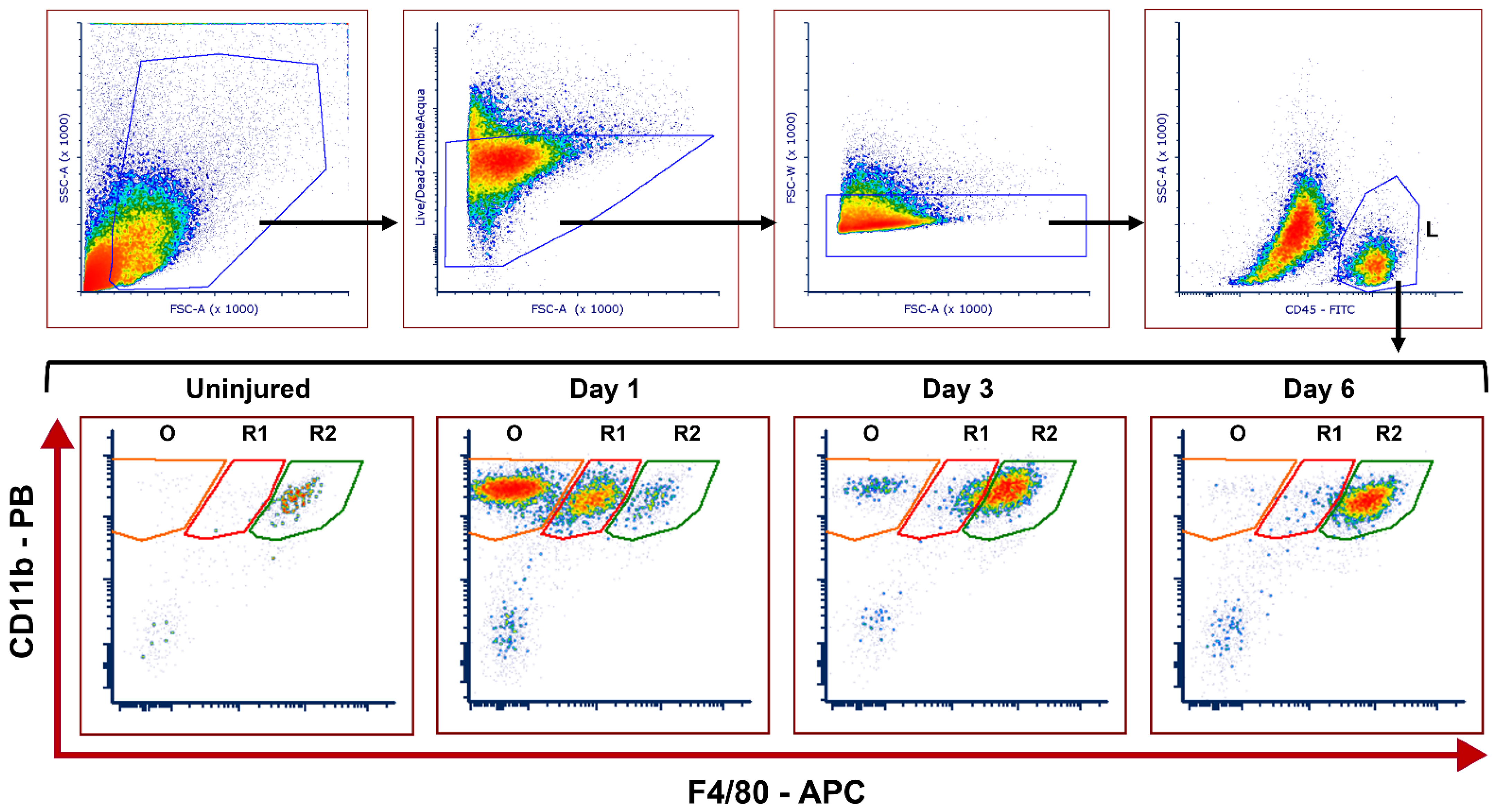 Ijms 23 02574 g001 550