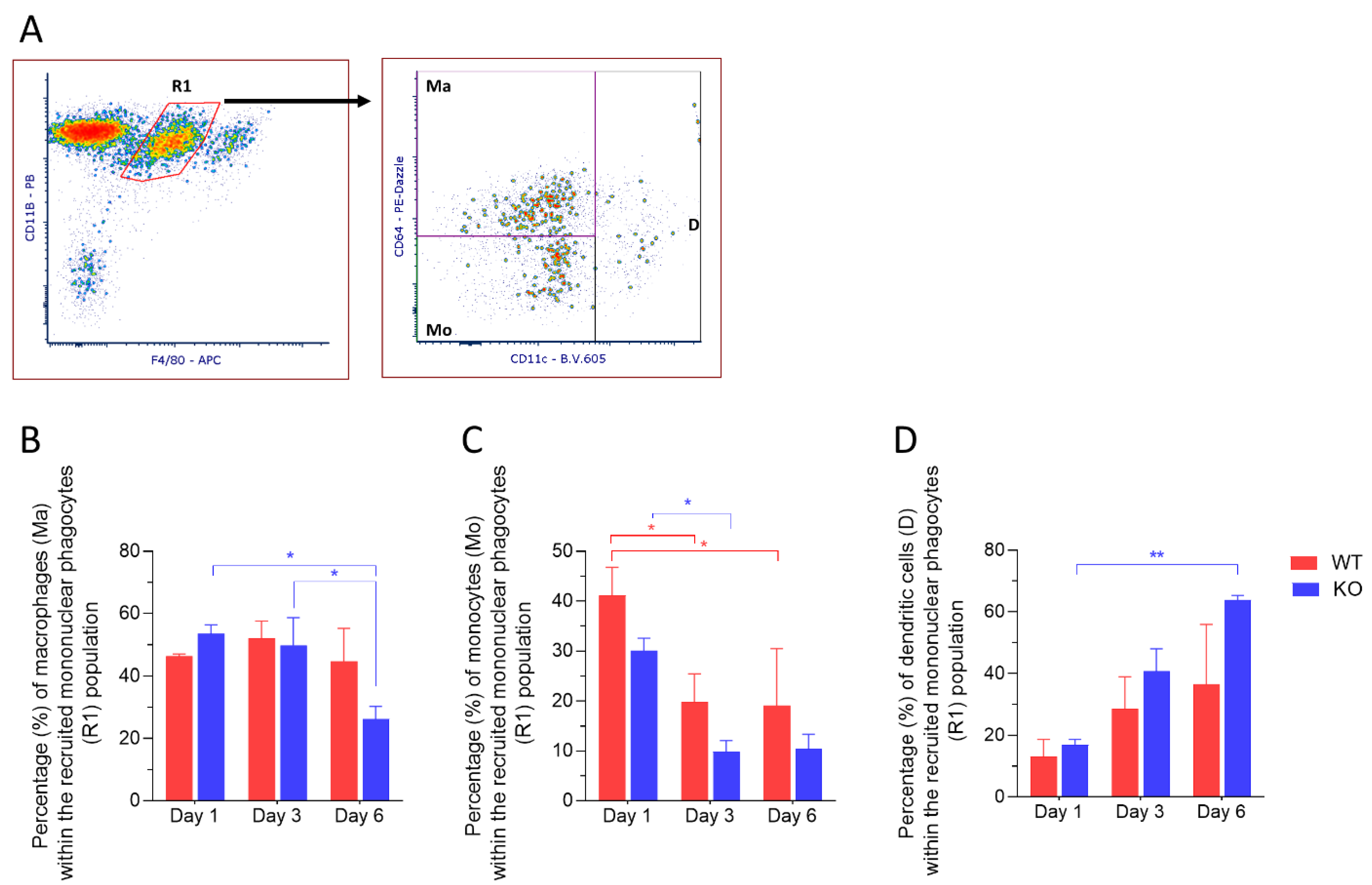 Ijms 23 02574 g004 550