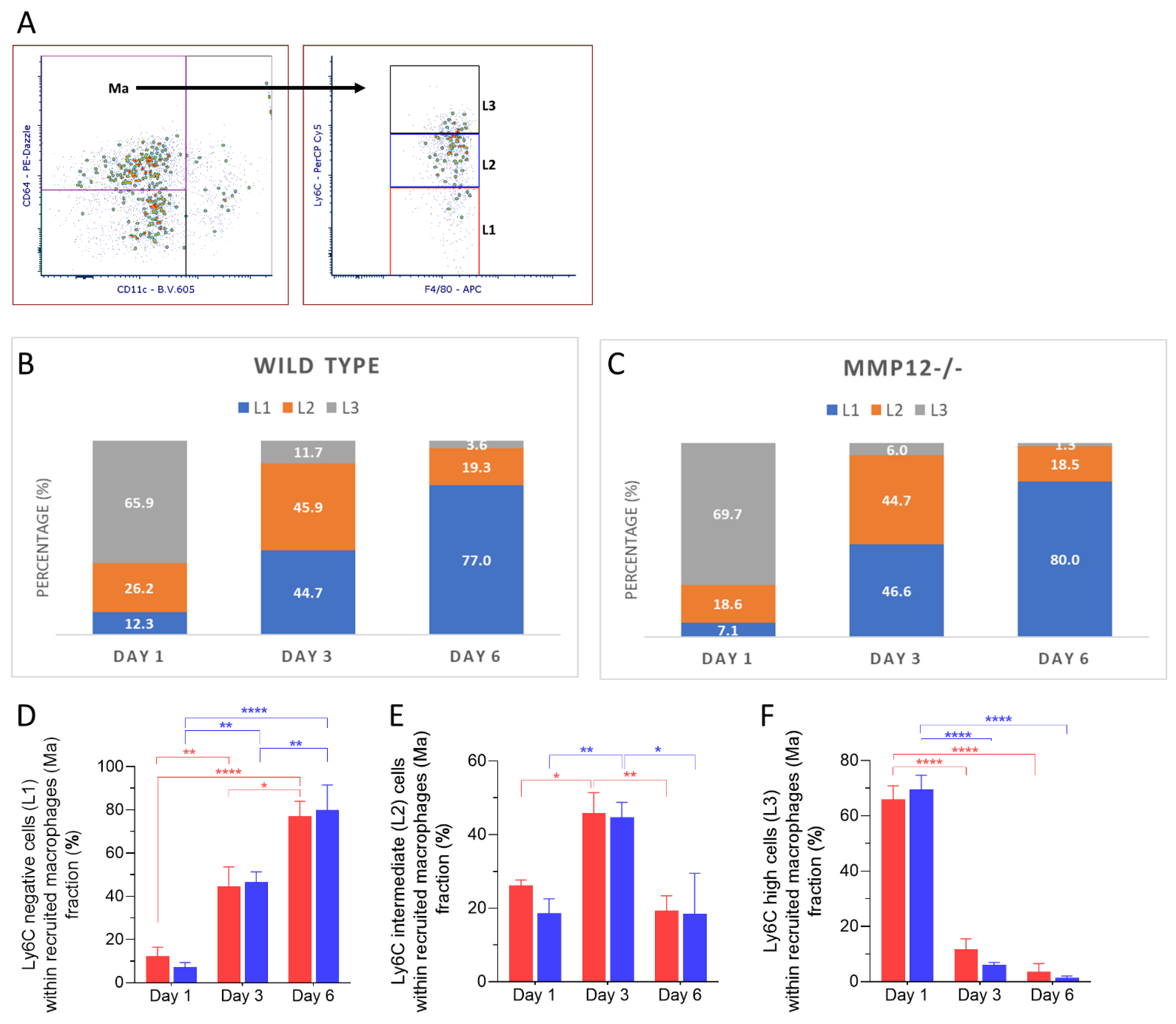 Ijms 23 02574 g005 550