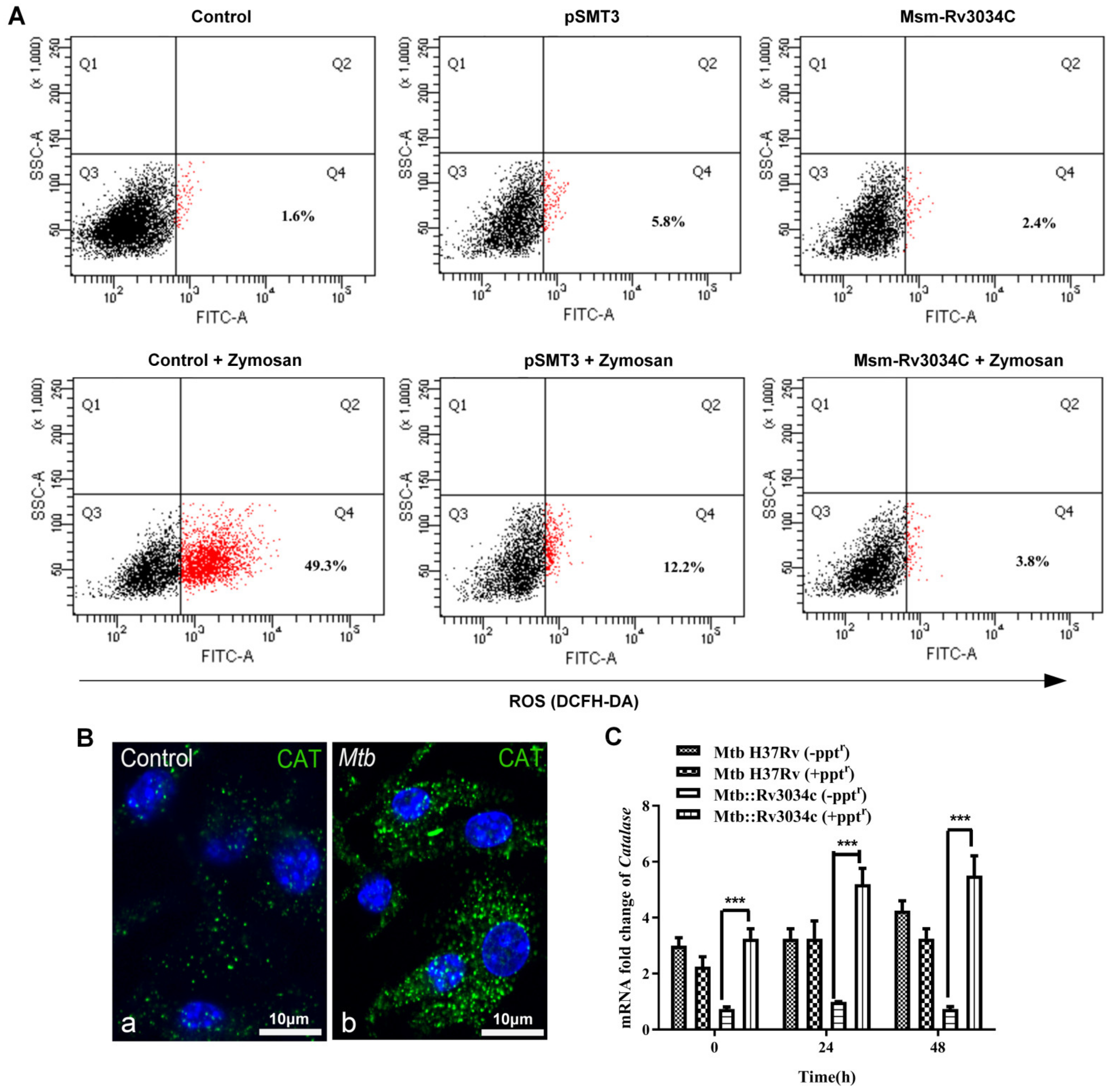 Ijms 23 02584 g002 550