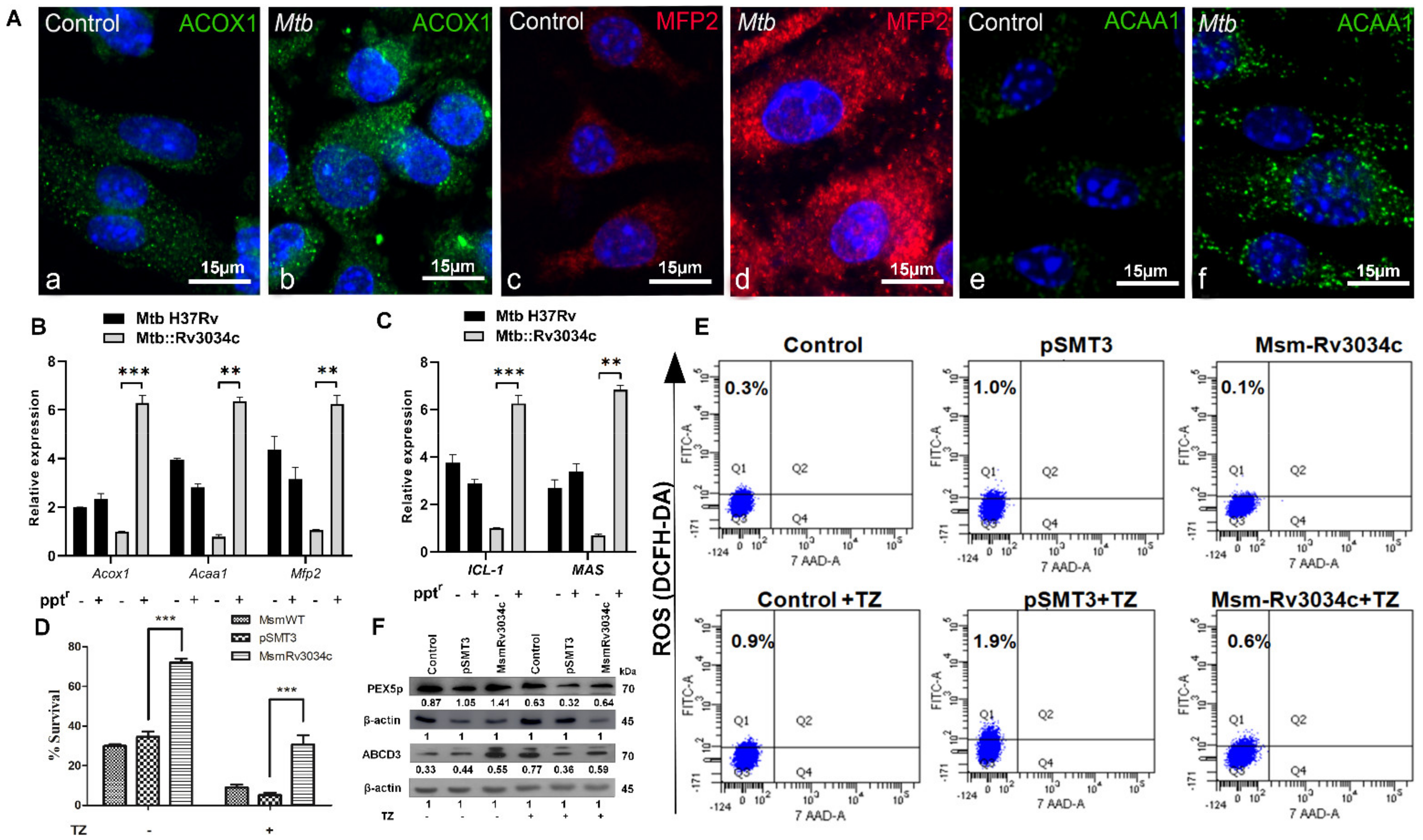Ijms 23 02584 g003 550