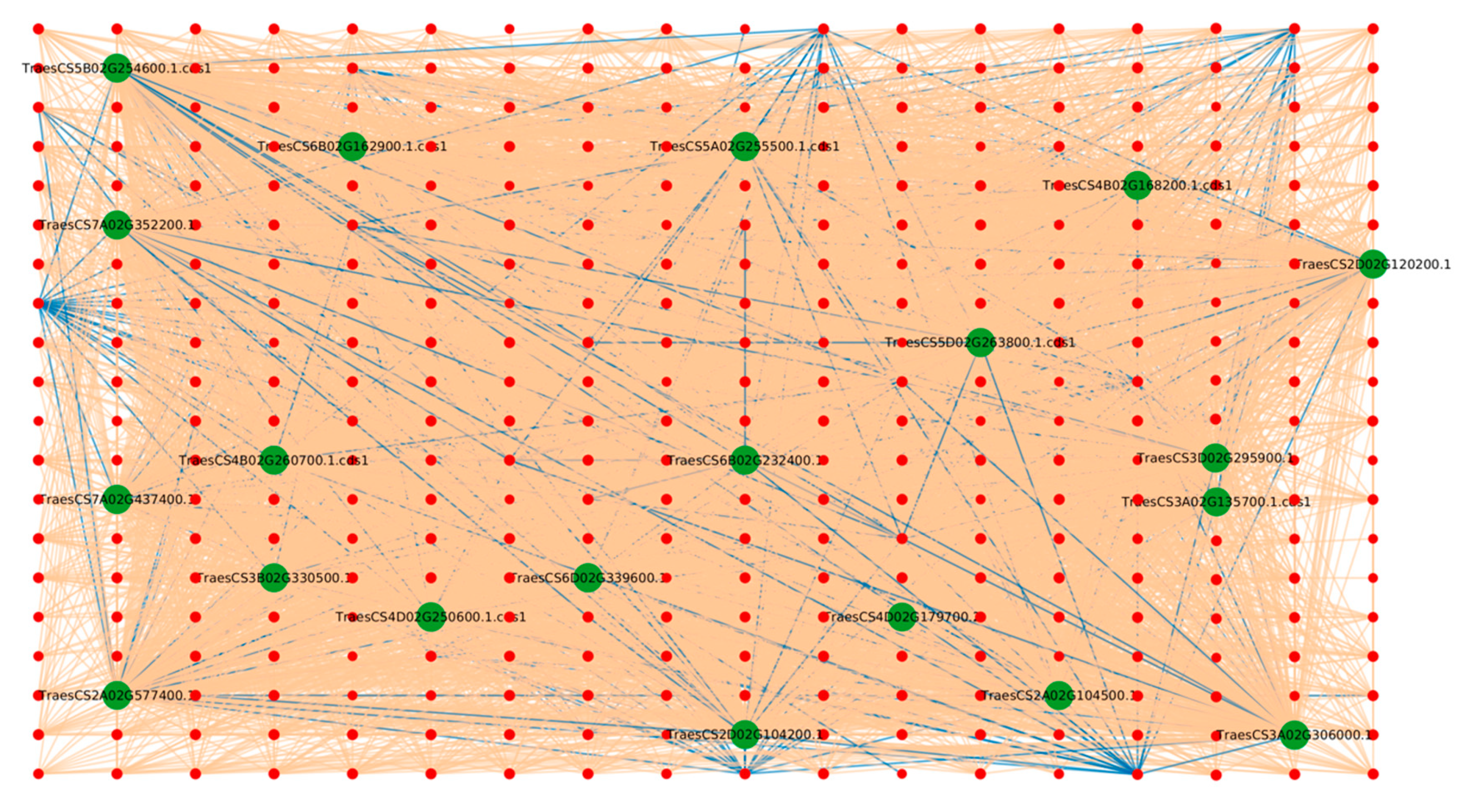 Seeking Insight Within Healthcare, SQL, by McNeil Creative Data