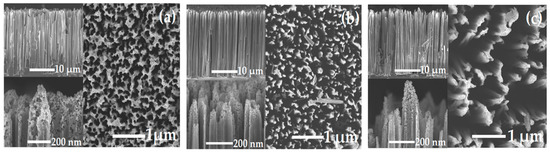 Surface-Enhanced Raman Scattering from Dye Molecules in Silicon ...