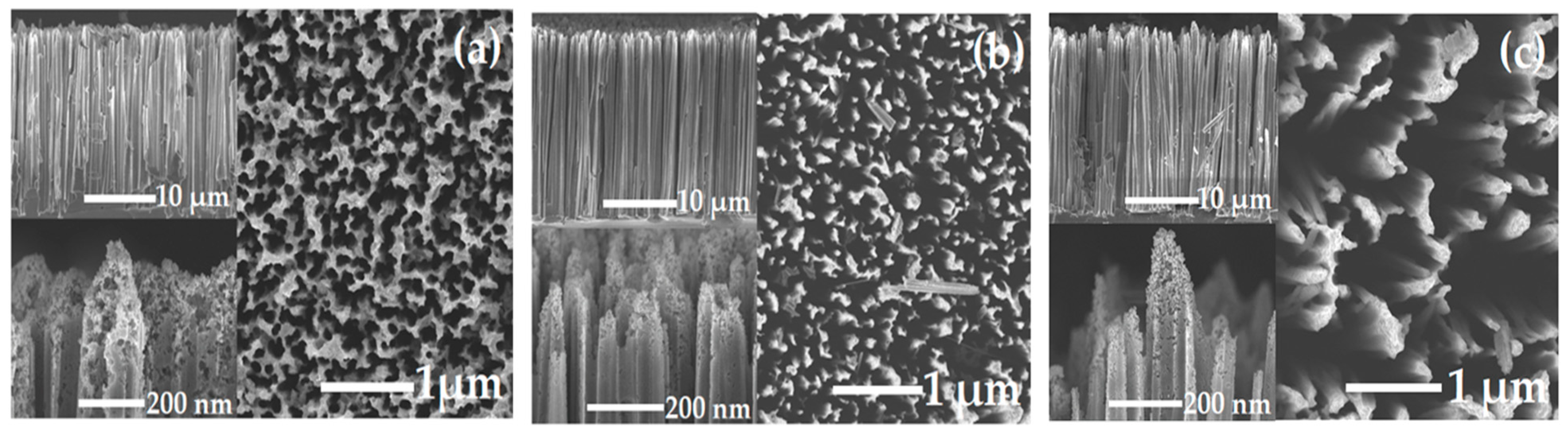 Ijms 23 02590 g003 550