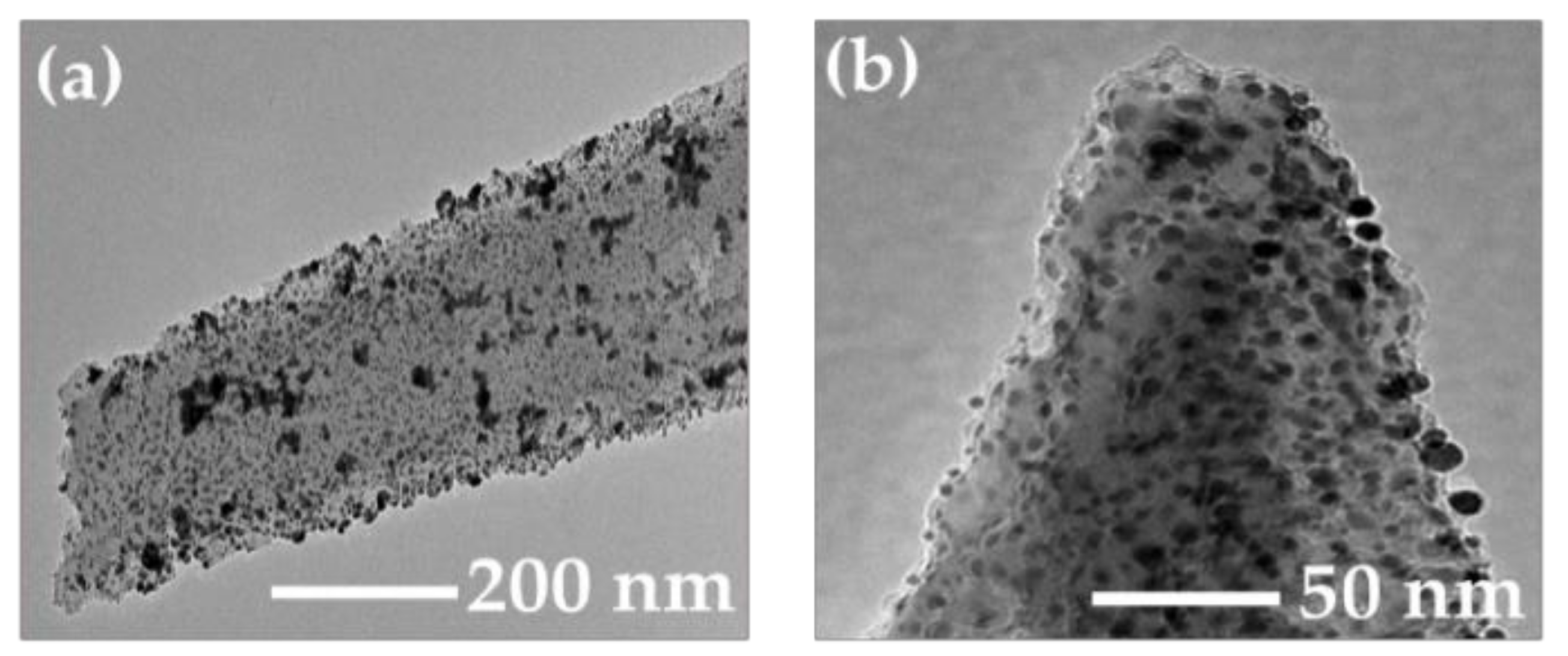 Ijms 23 02590 g004 550