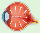 Ijms 23 02591 i003 Ijms 23 02591 i003