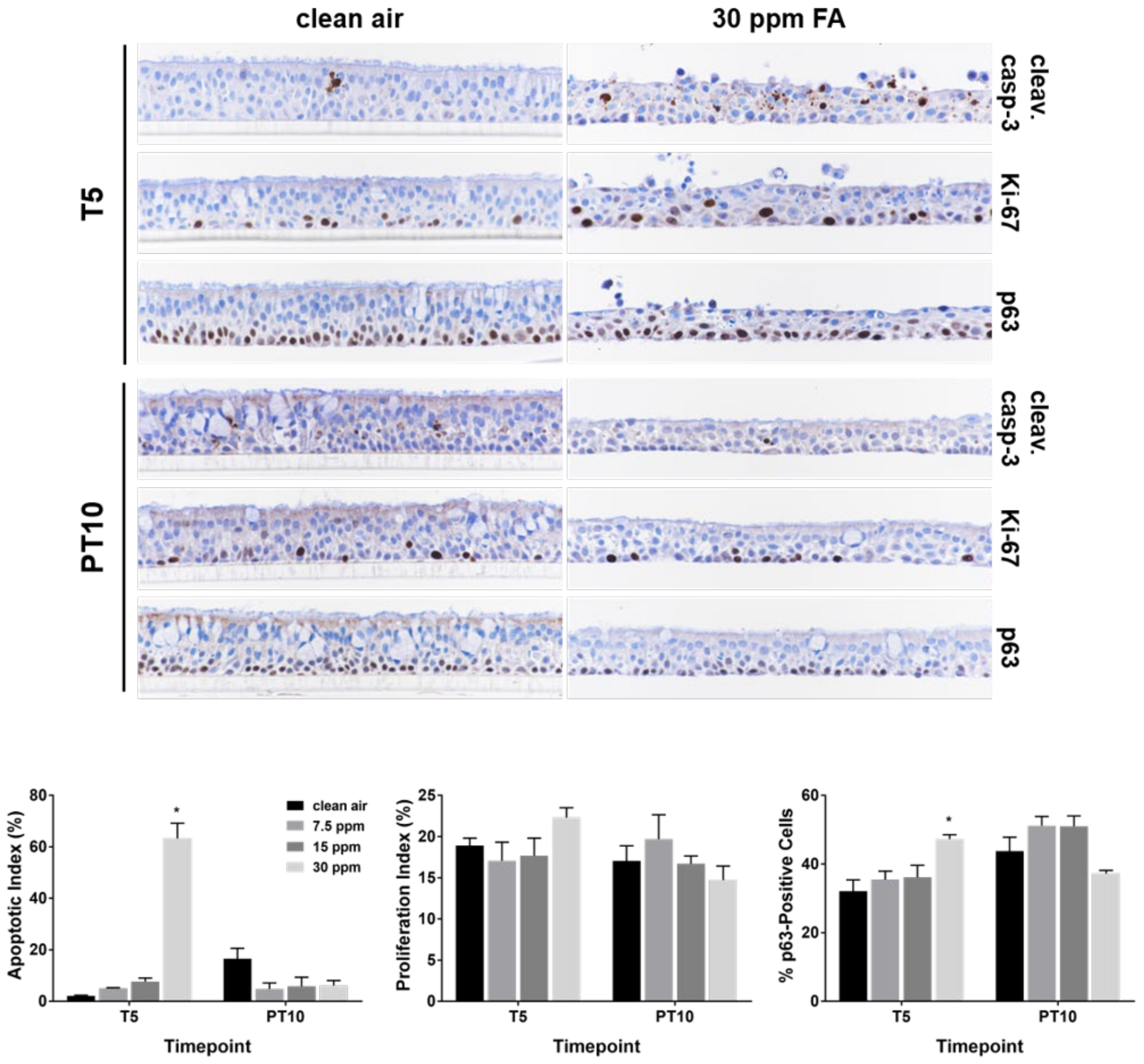 Ijms 23 02593 g003 550