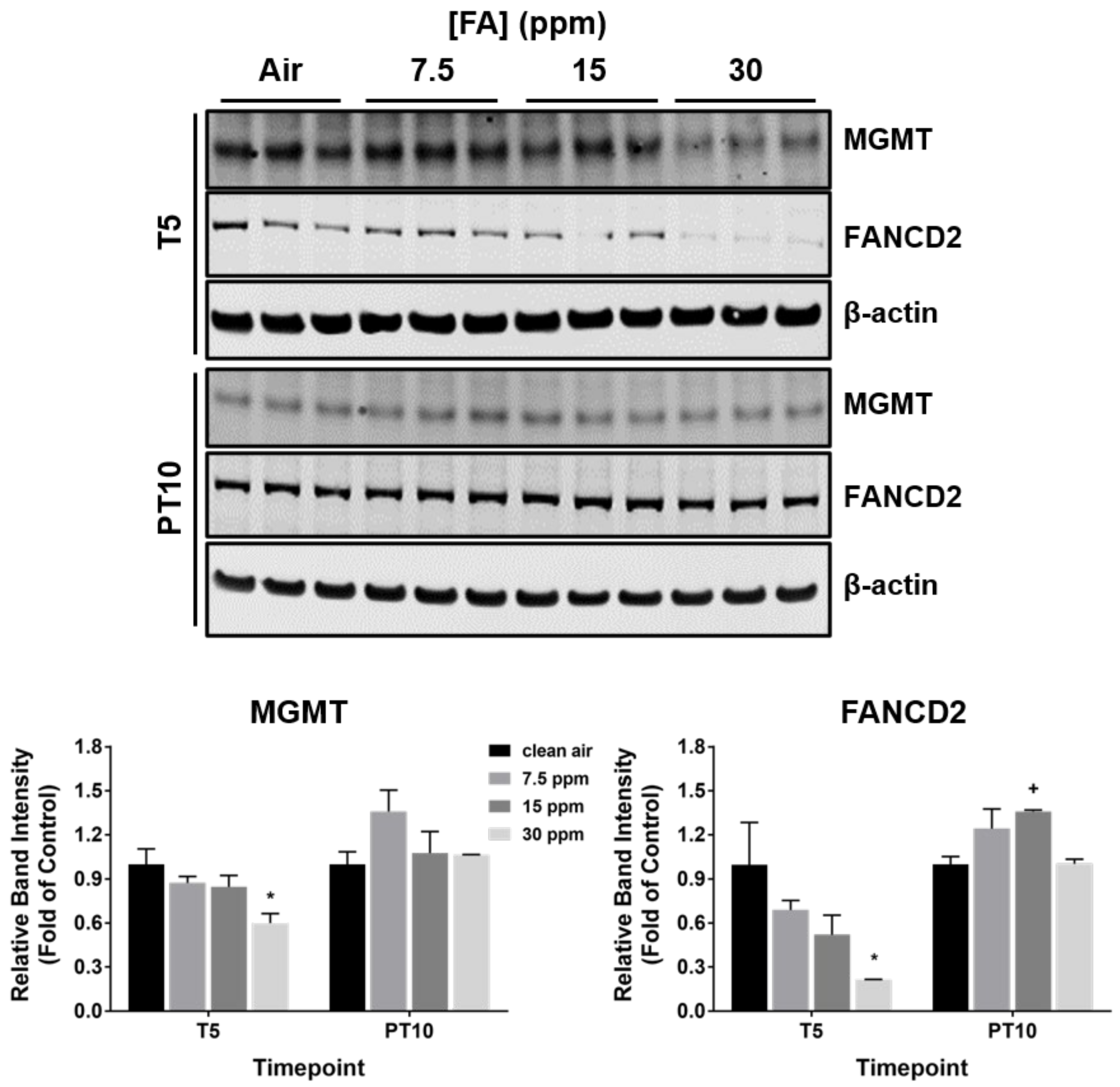 Ijms 23 02593 g007 550
