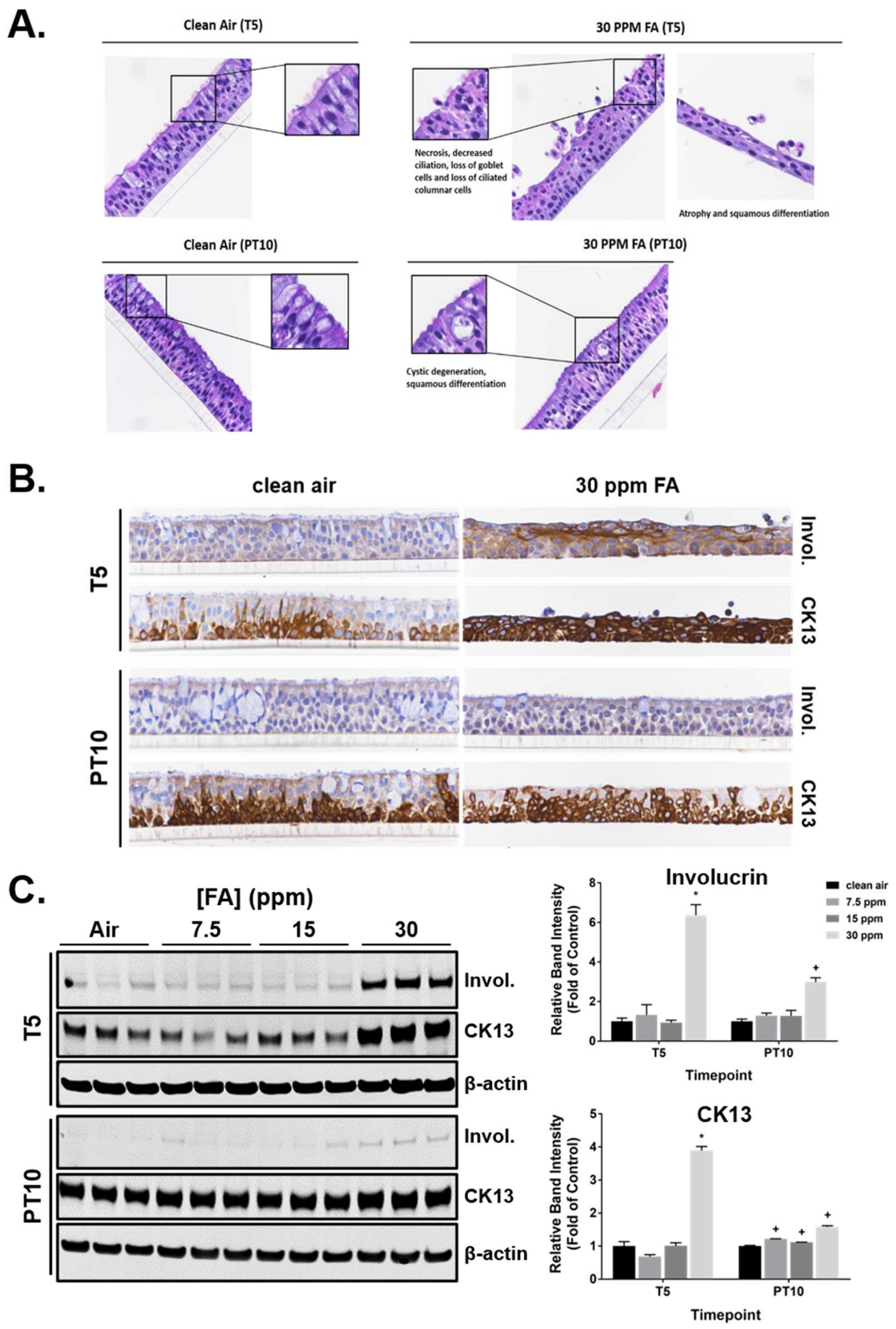Ijms 23 02593 g008 550