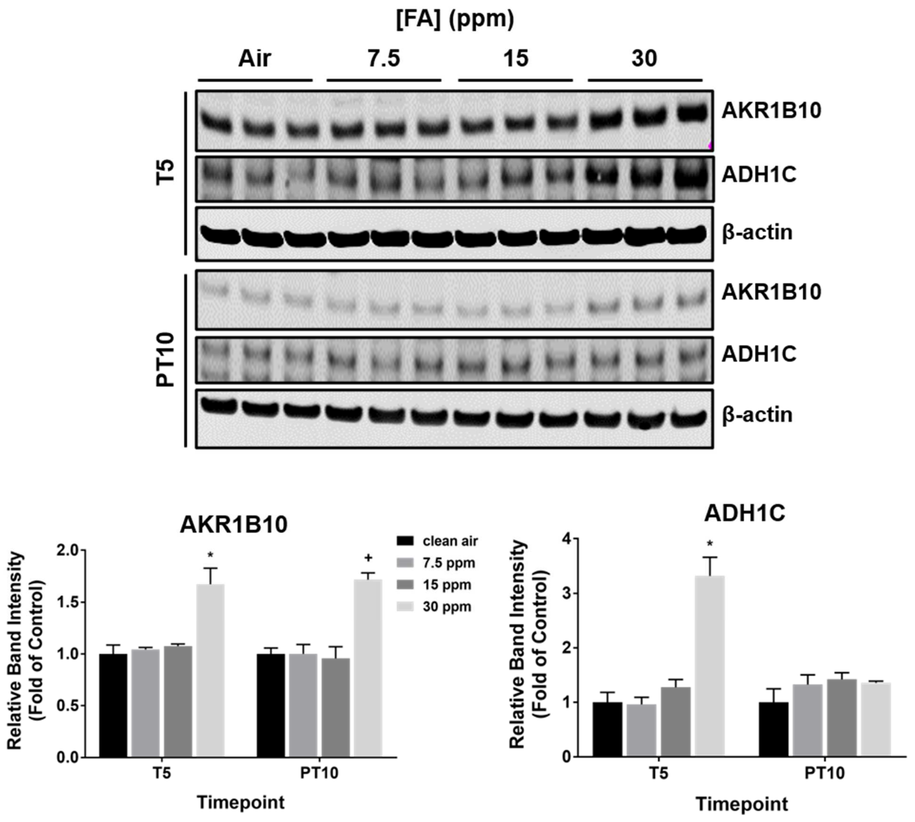 Ijms 23 02593 g009 550
