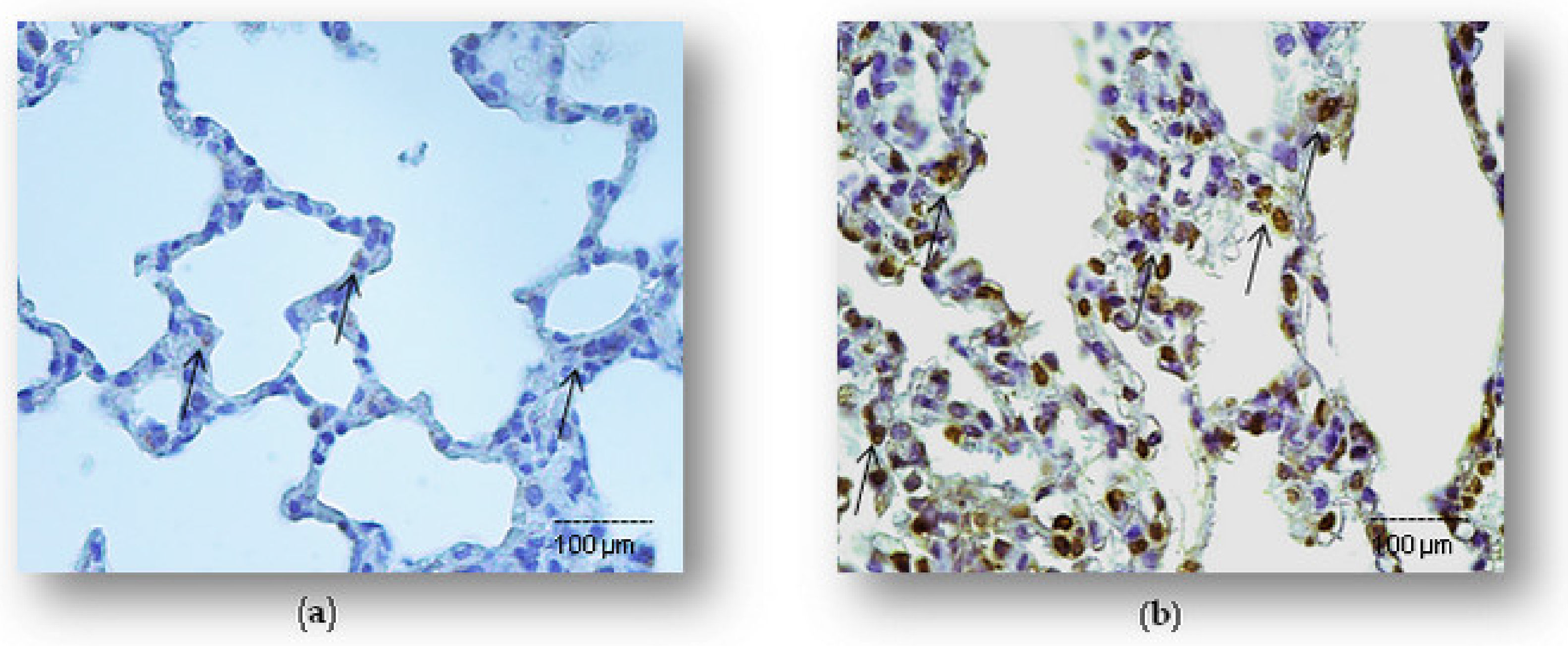 Ijms 23 02596 g003a Ijms 23 02596 g003a