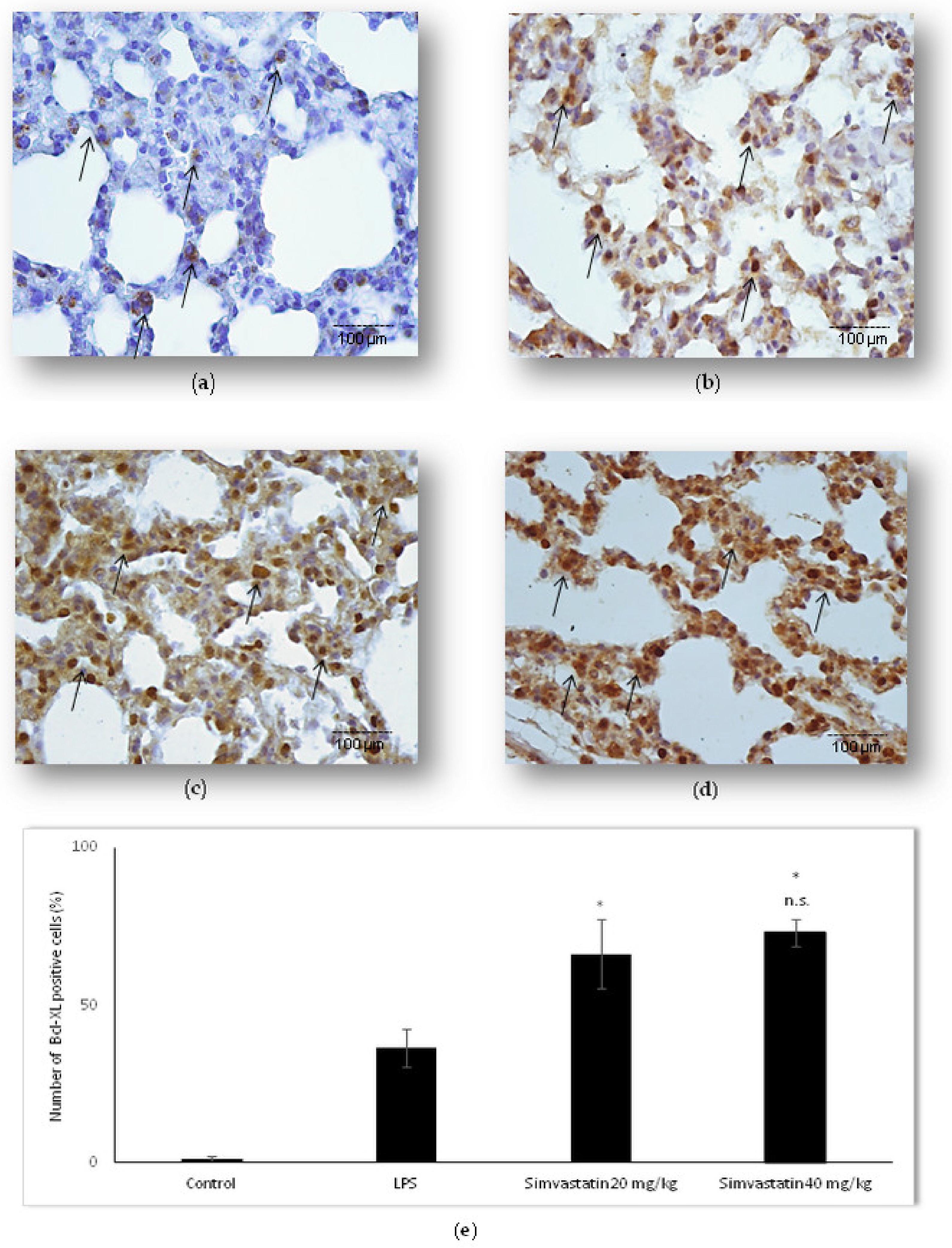 Ijms 23 02596 g006 Ijms 23 02596 g006