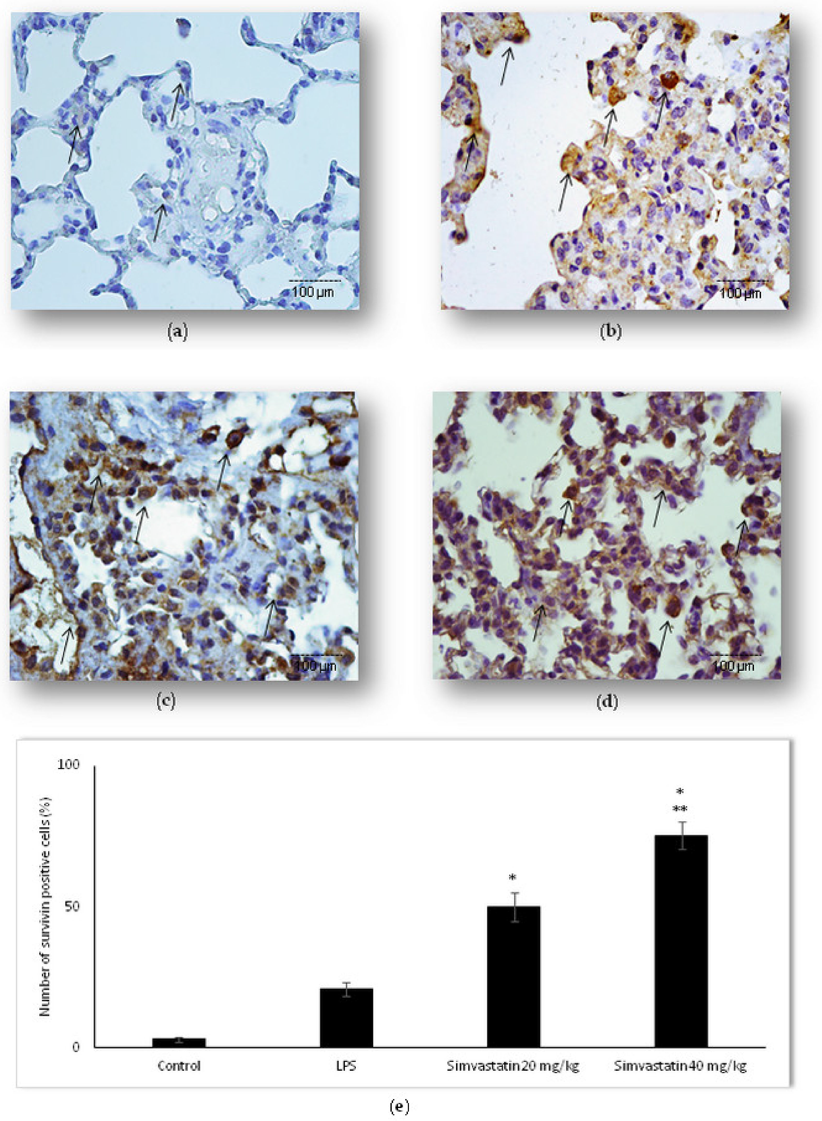 Ijms 23 02596 g008 Ijms 23 02596 g008