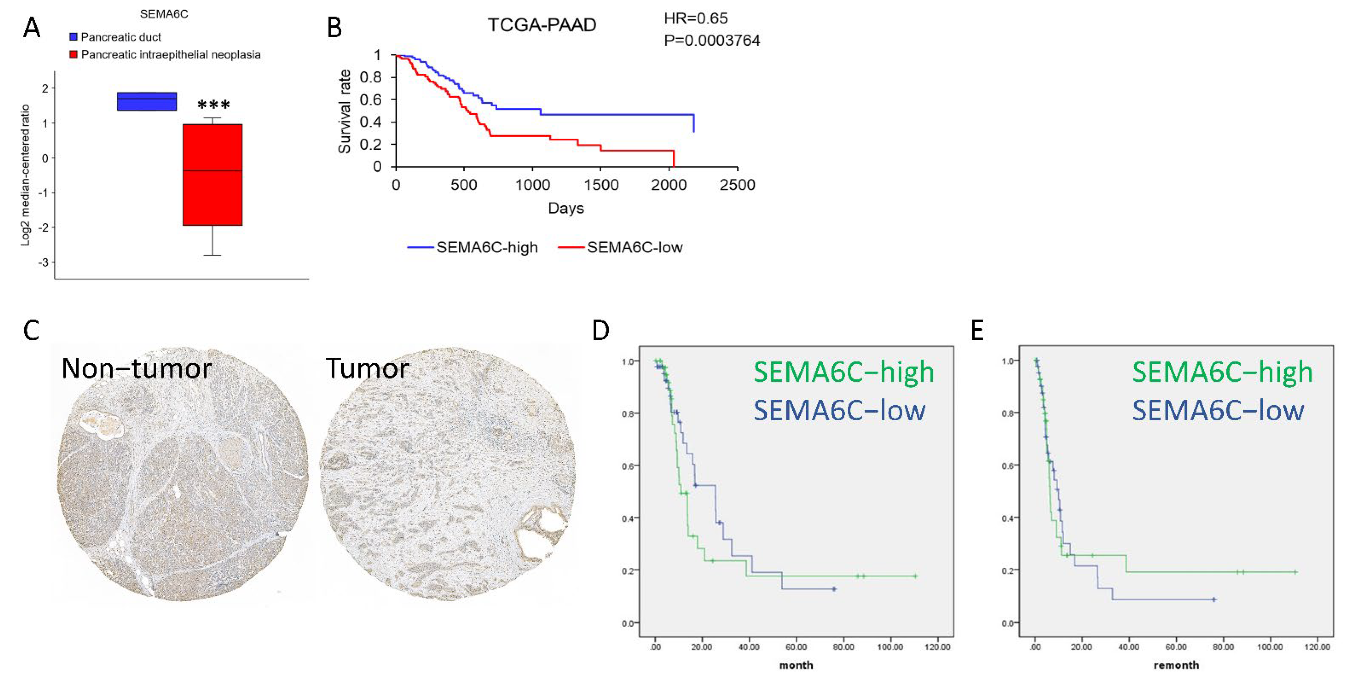 Ijms 23 02608 g001 550