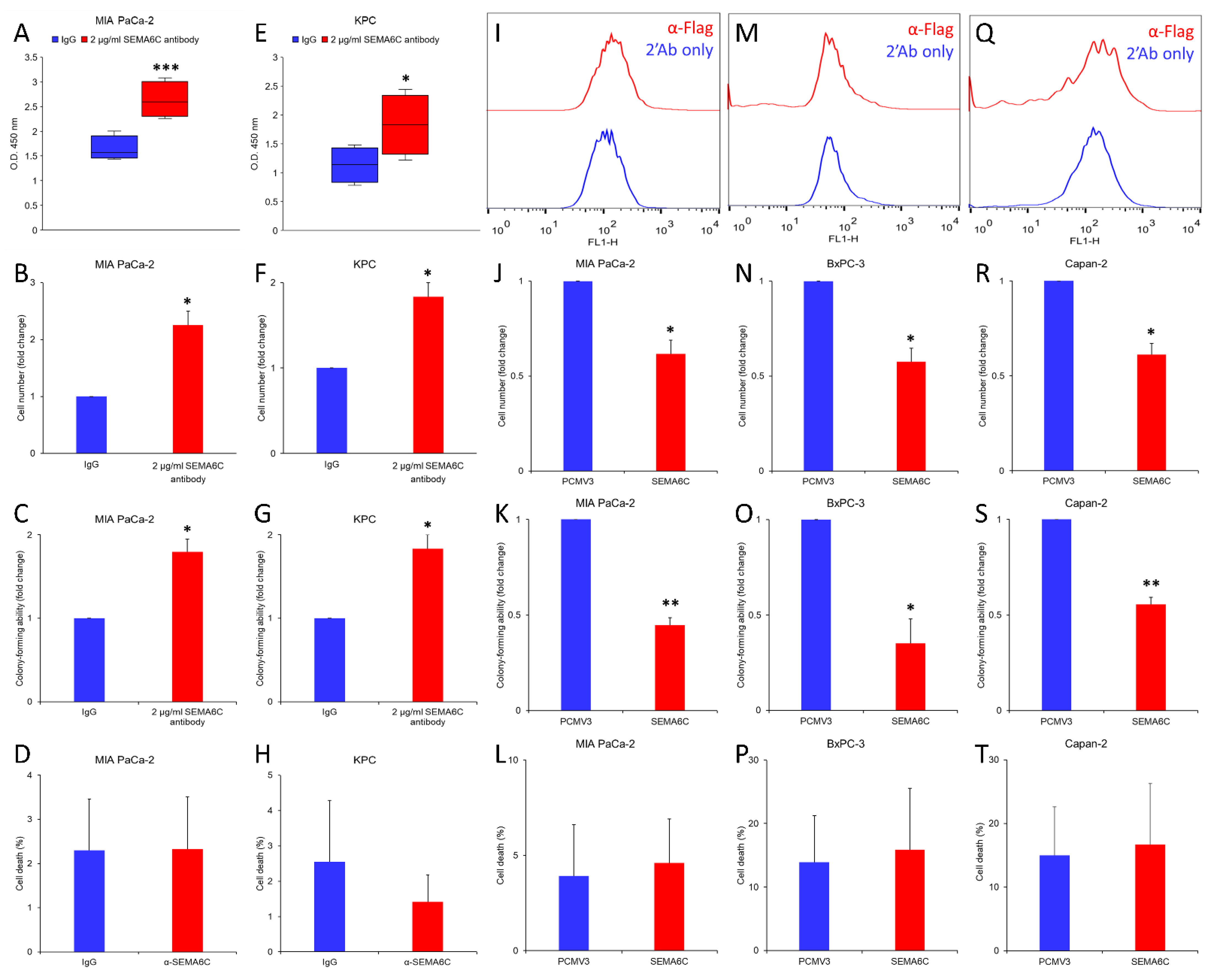 Ijms 23 02608 g003 550